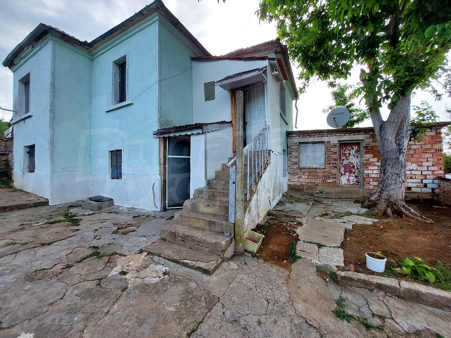 Gallery Picture 19
