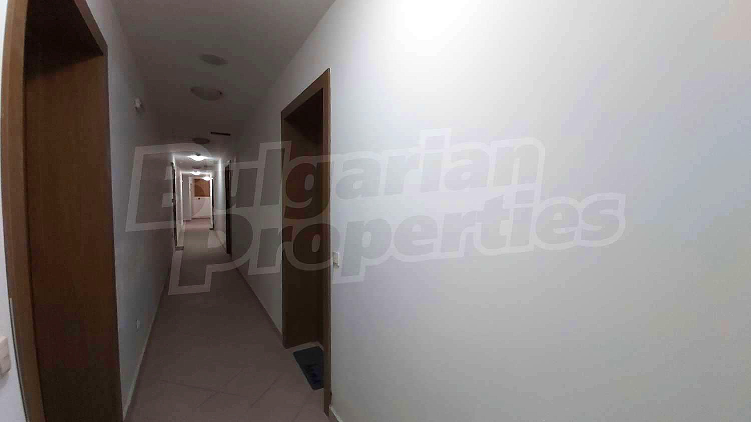 Gallery Picture 11