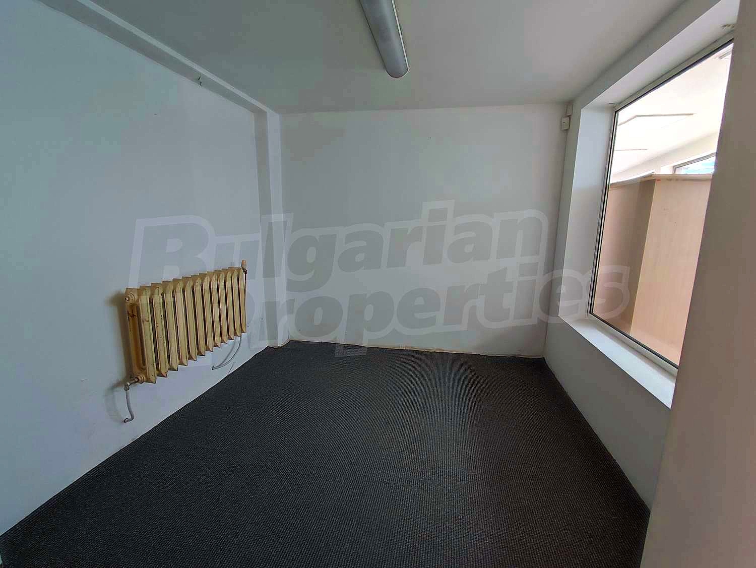 Gallery Picture 8