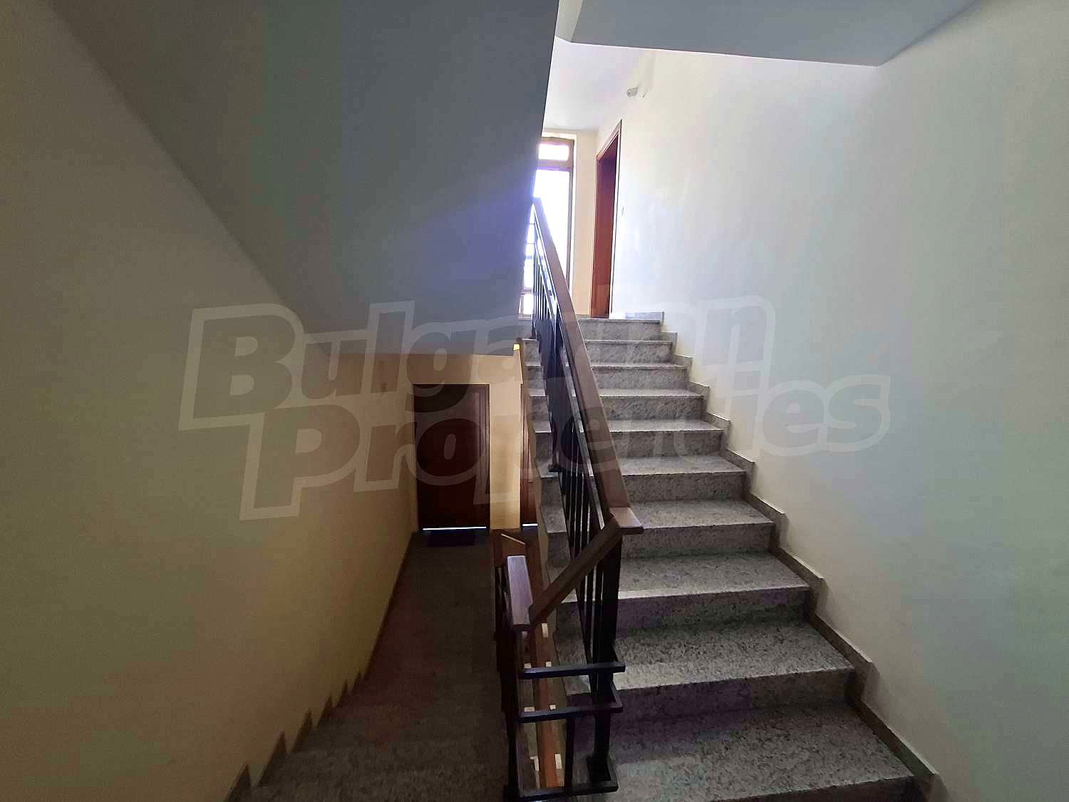 Gallery Picture 13