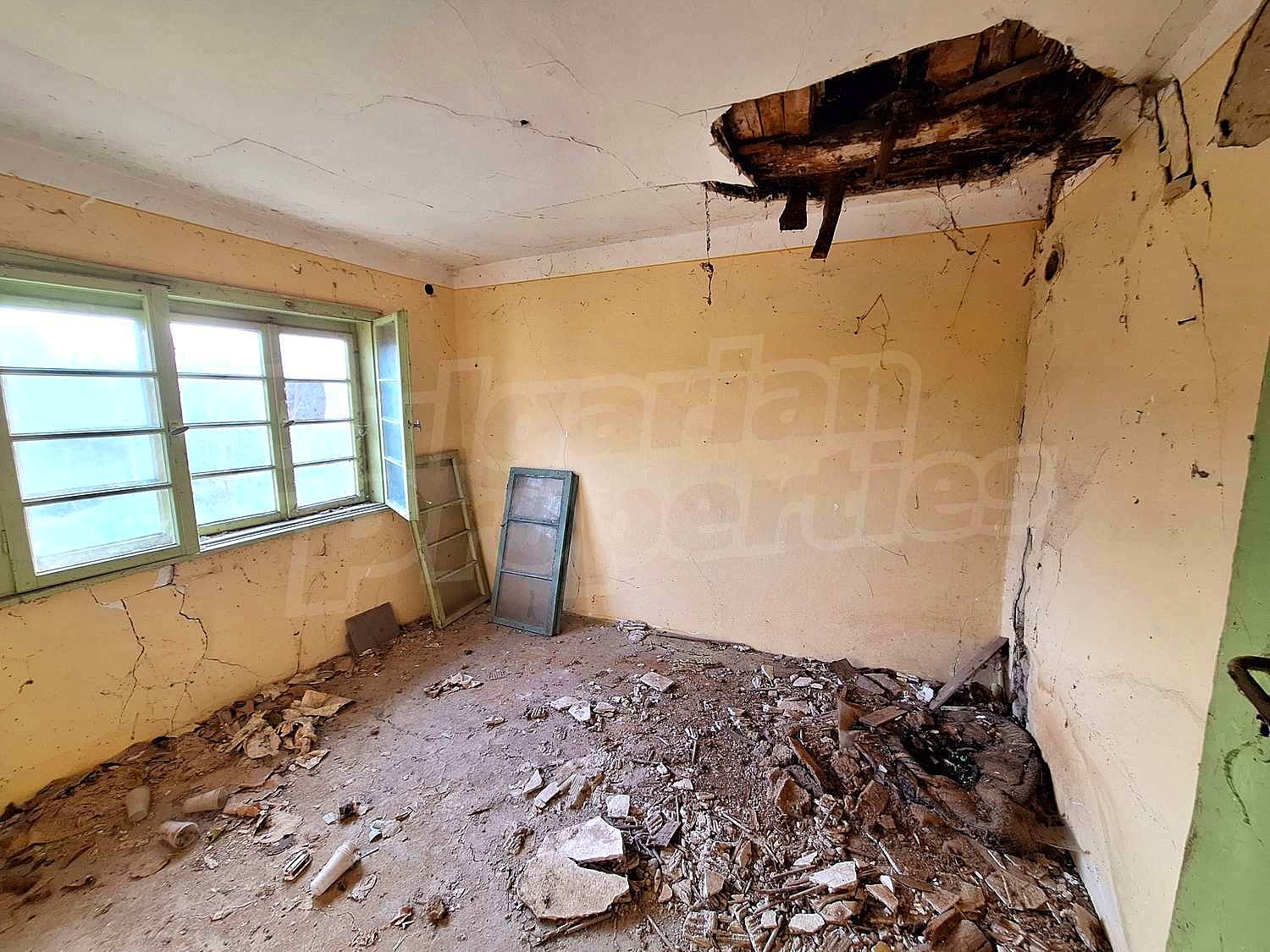 Gallery Picture 7