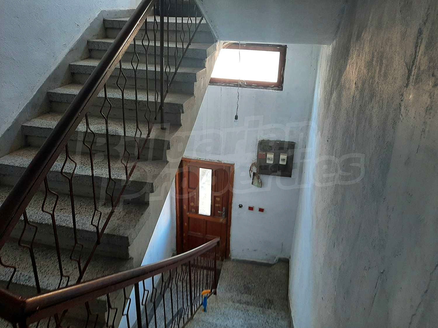 Gallery Picture 19