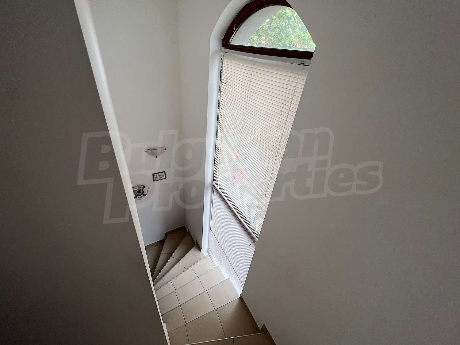 Gallery Picture 36