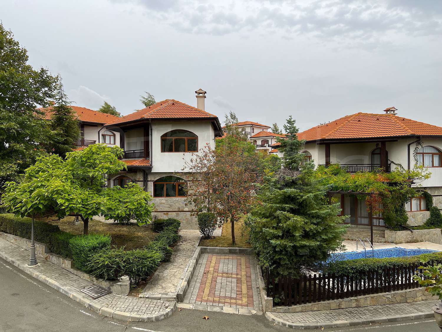Gallery Picture 43