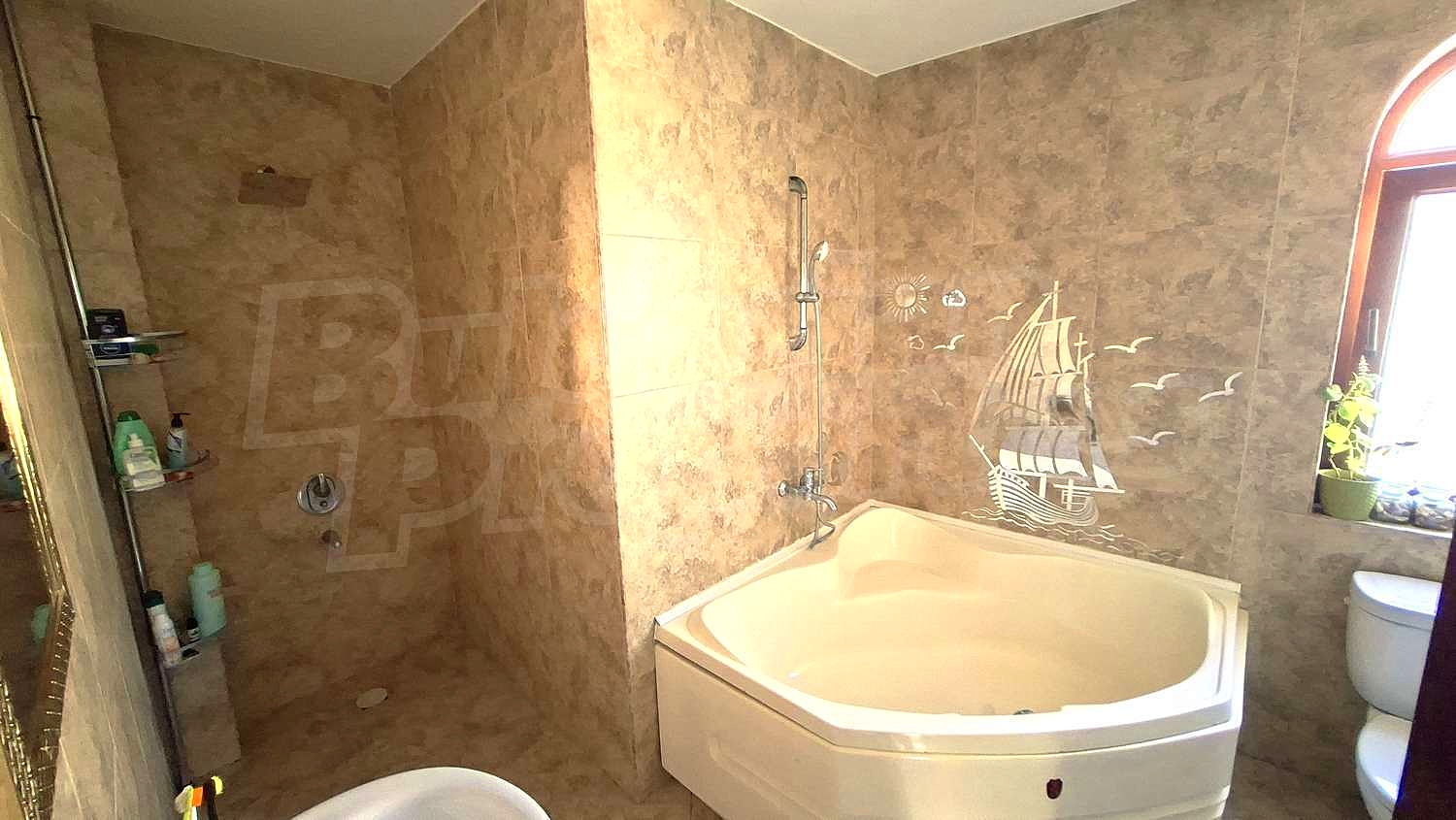 Gallery Picture 10
