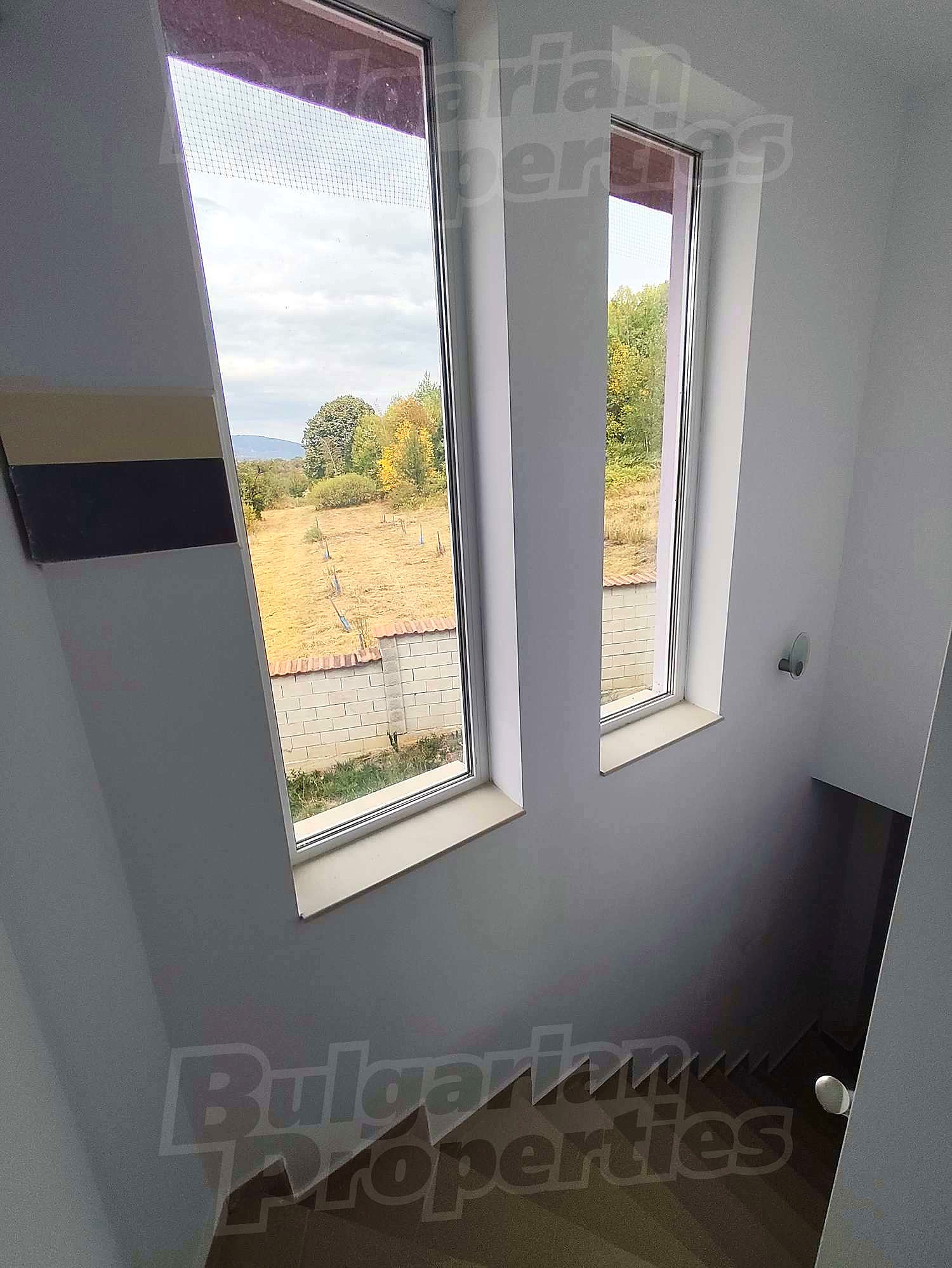 Gallery Picture 16