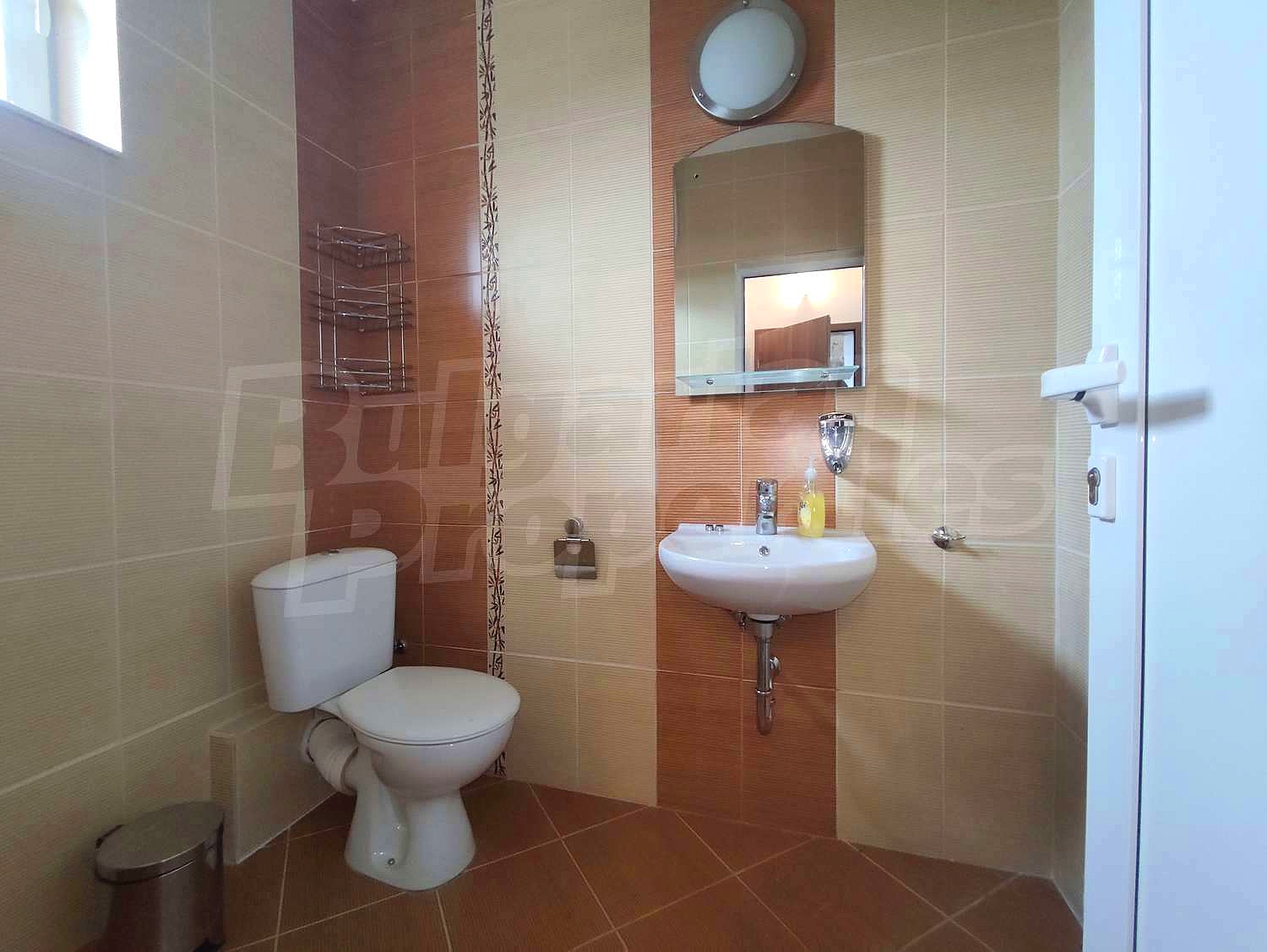Gallery Picture 41