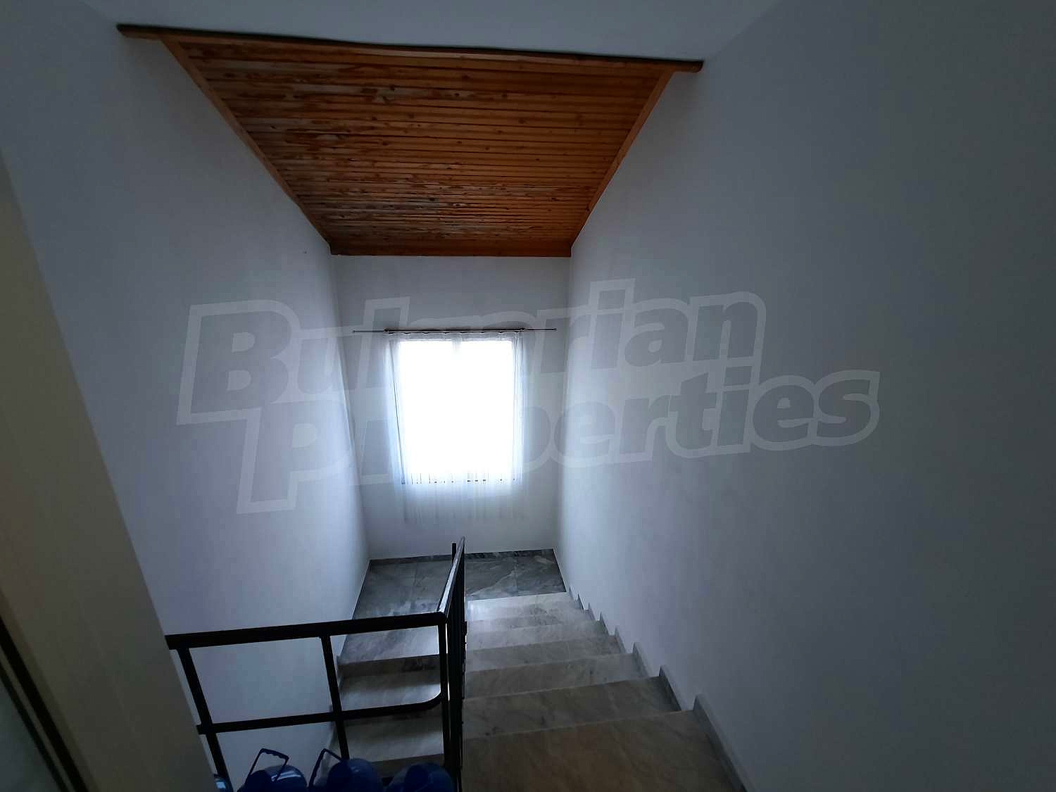 Gallery Picture 19