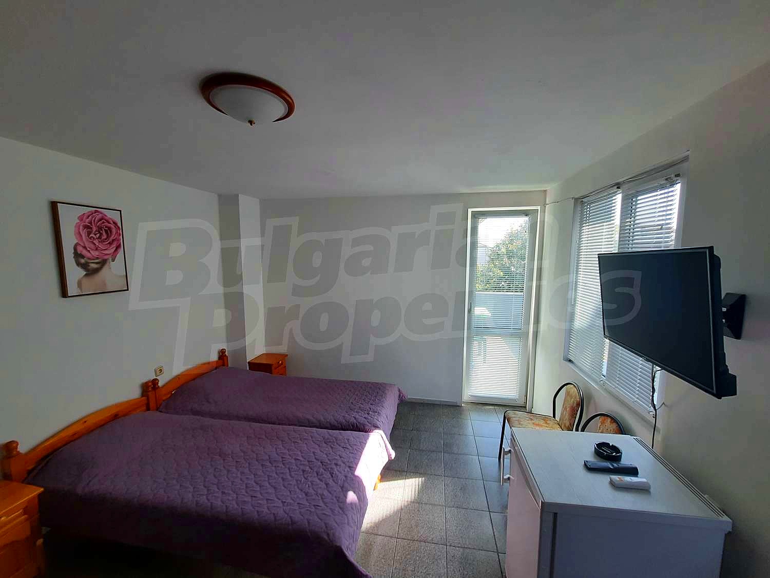Gallery Picture 16