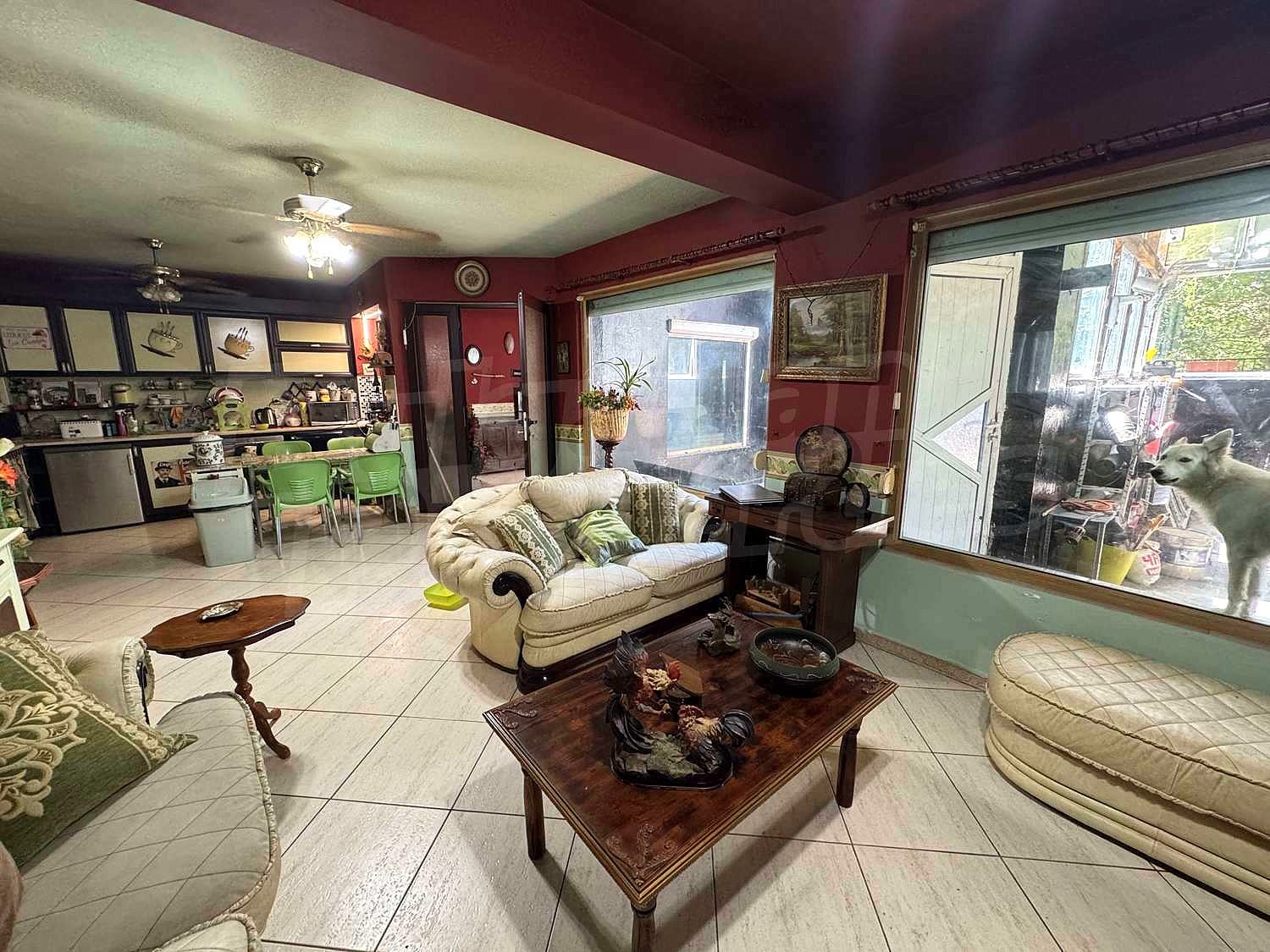 Gallery Picture 13