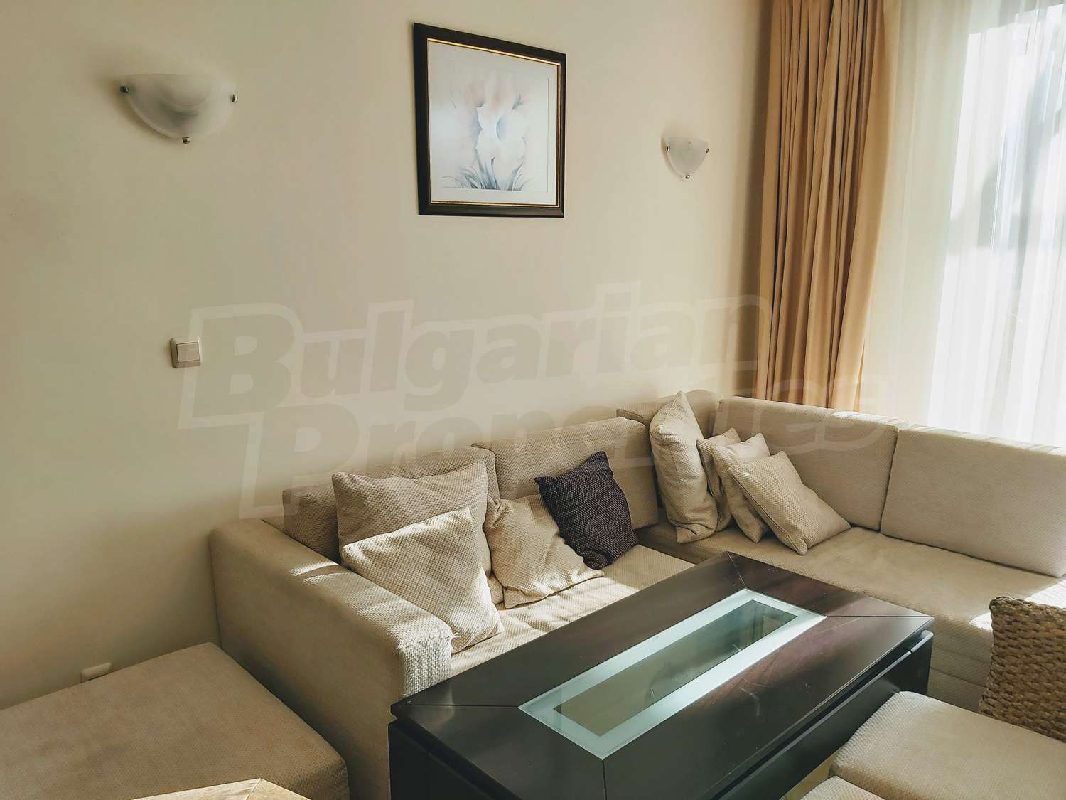 Gallery Picture 14