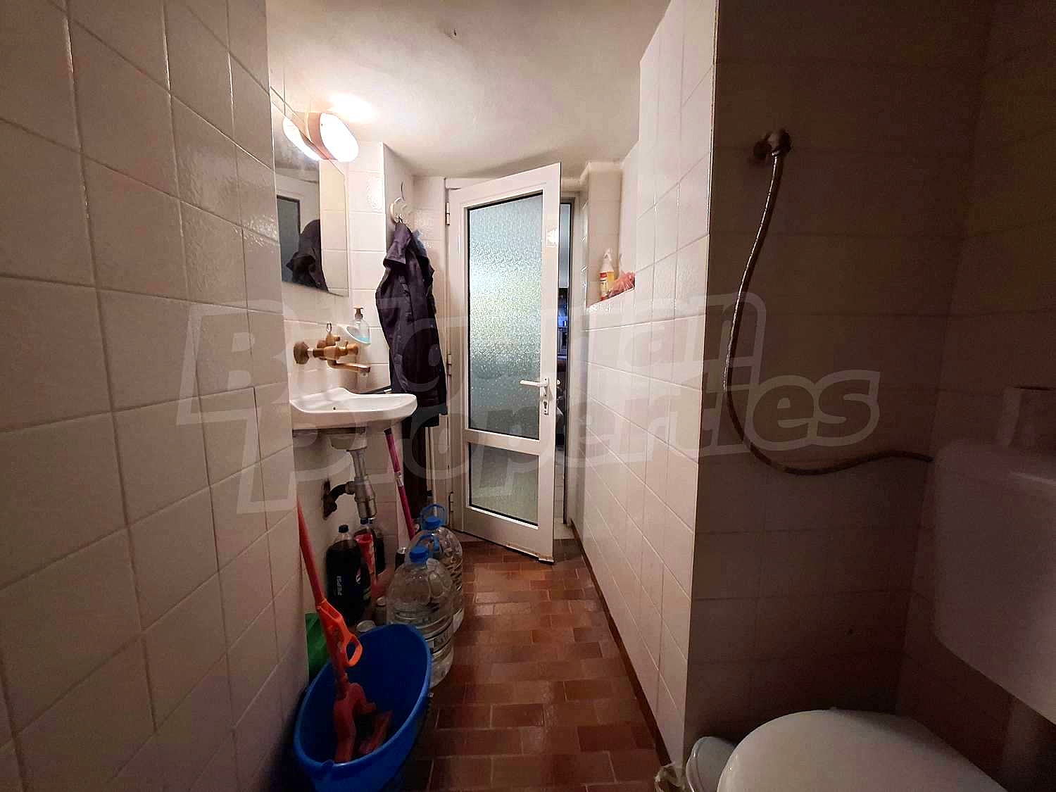 Gallery Picture 26