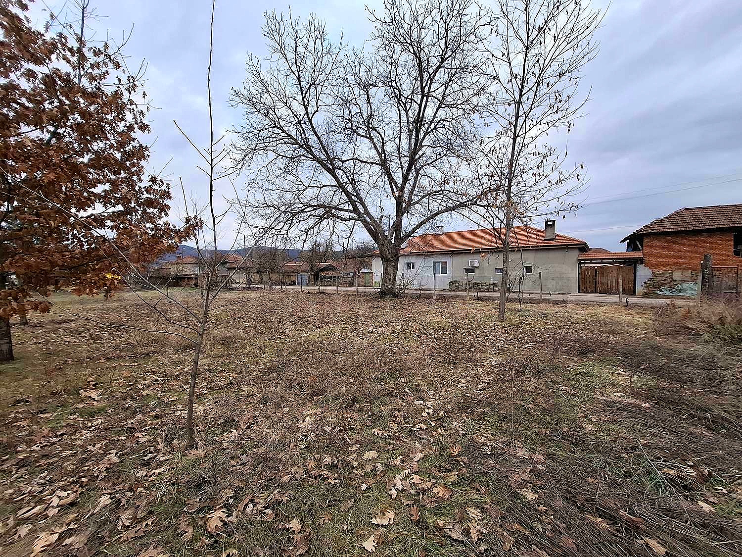 Gallery Picture 31