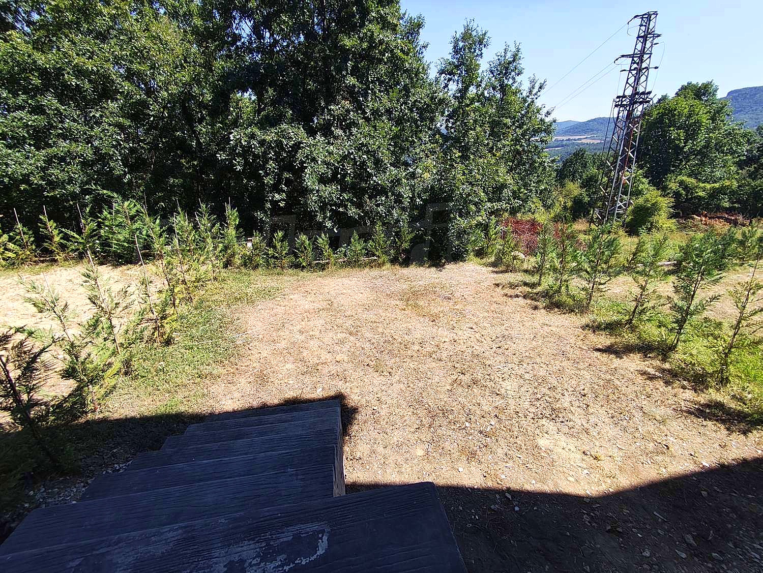 Gallery Picture 18
