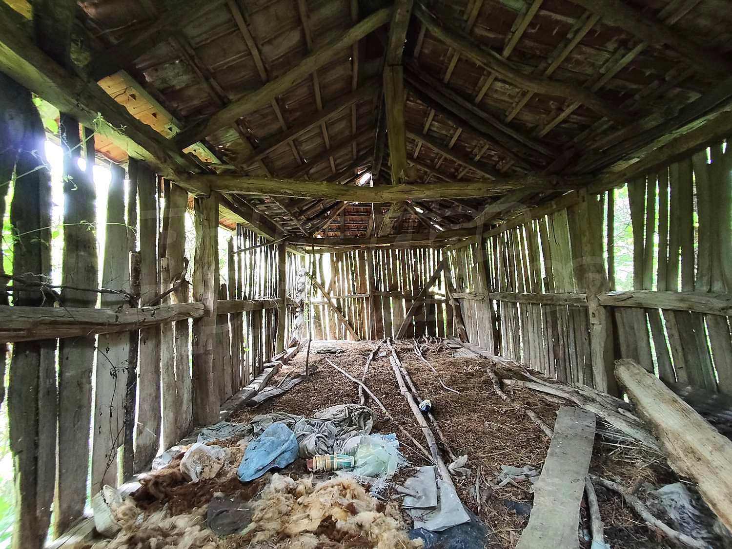 Gallery Picture 14