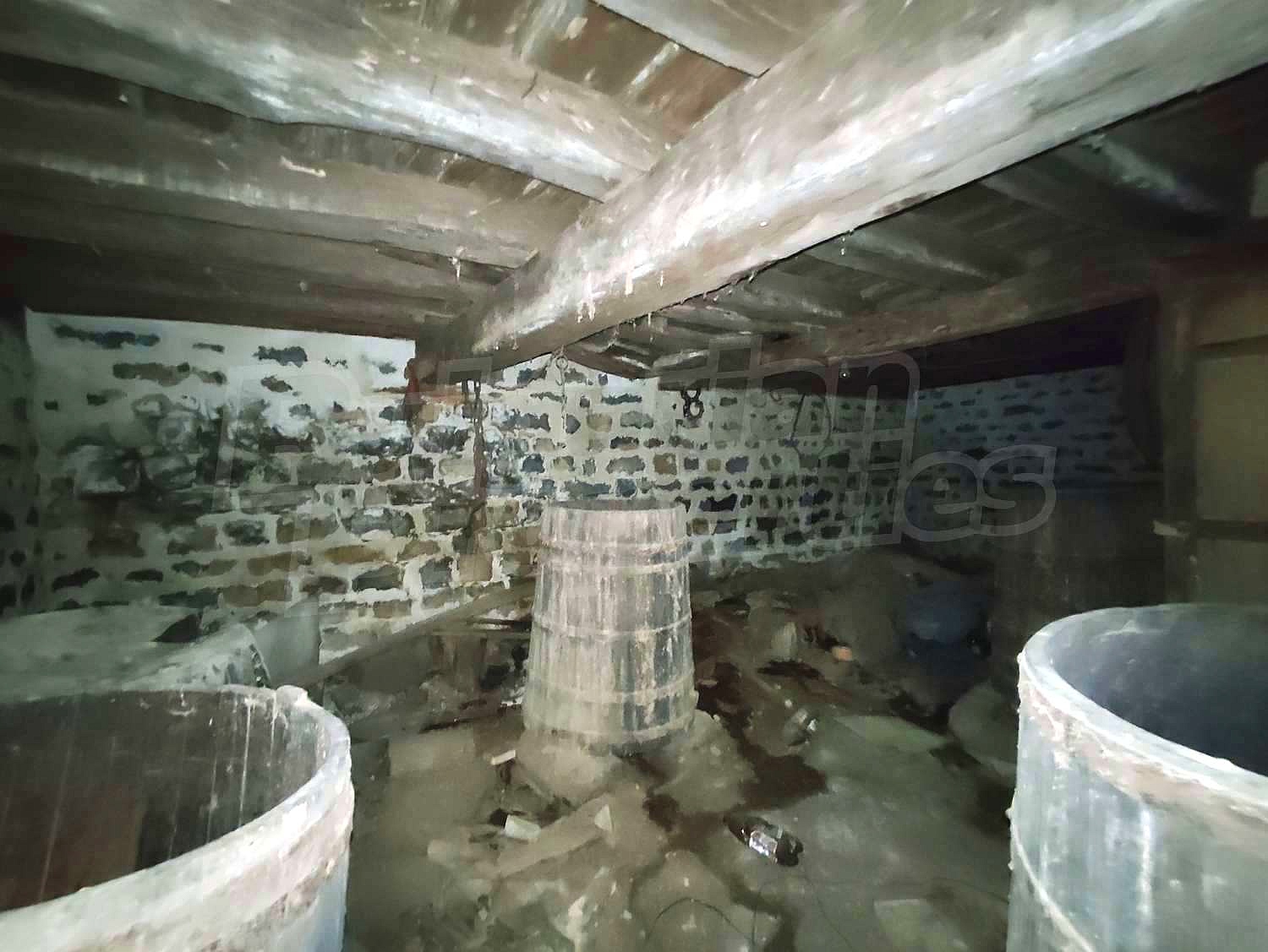 Gallery Picture 13