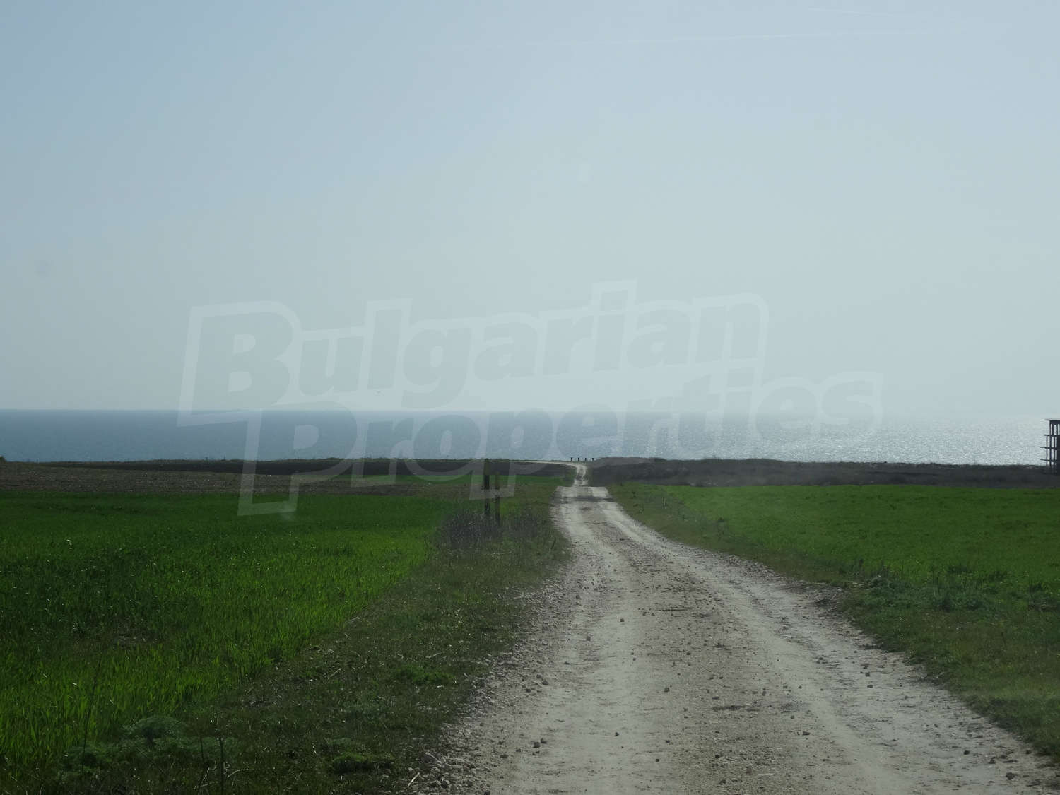 Gallery Picture 4