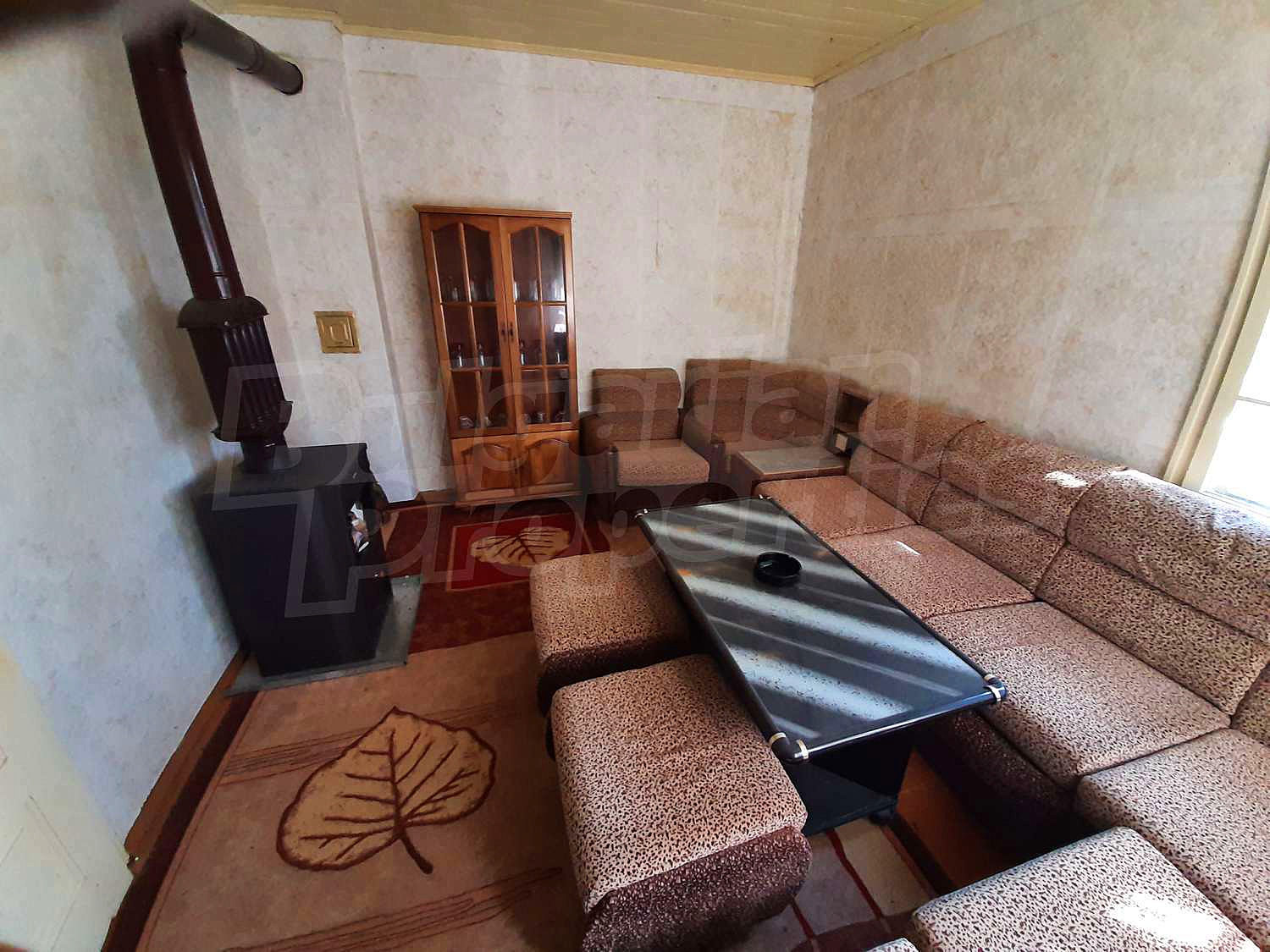 Gallery Picture 11