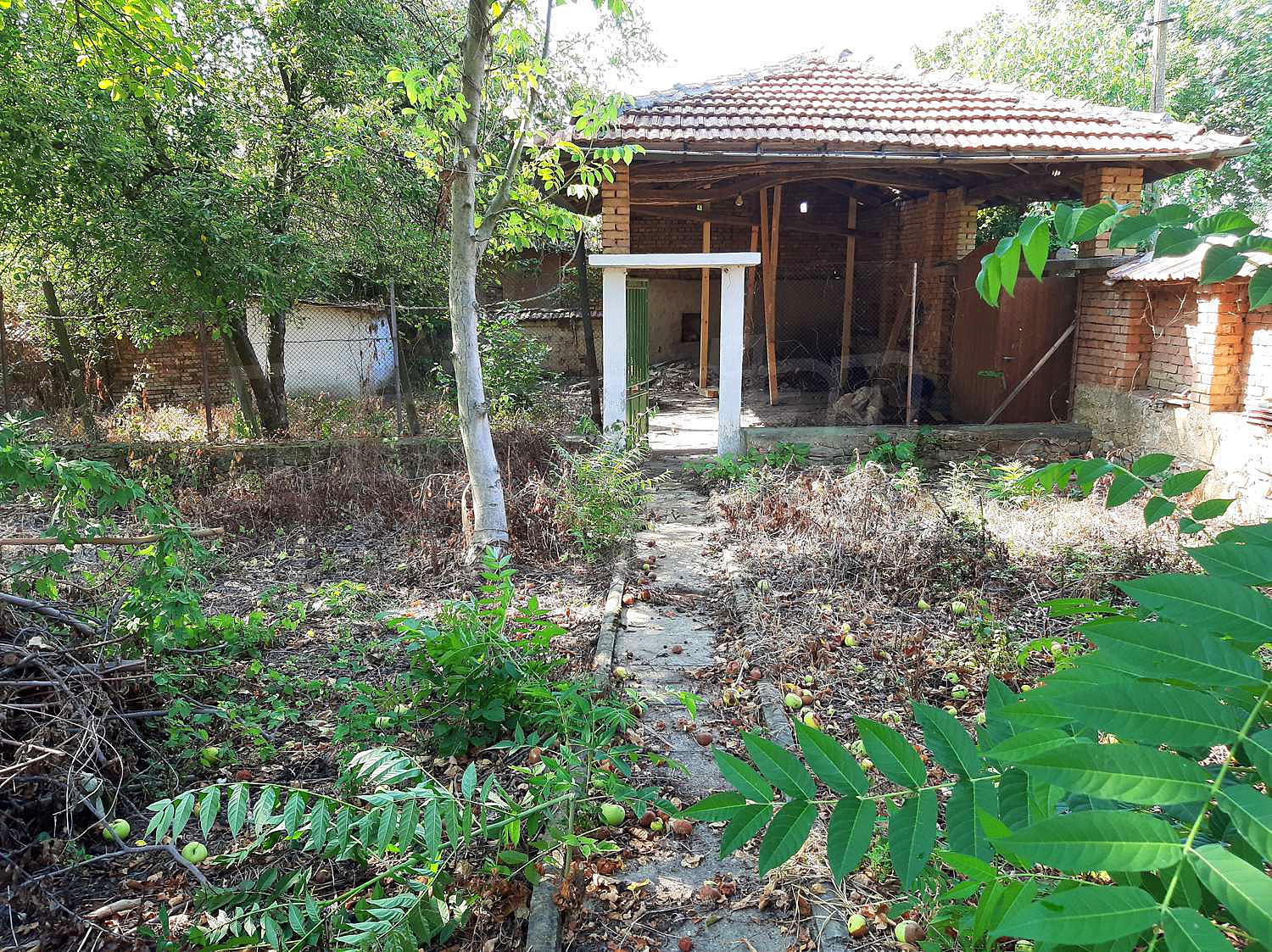 Gallery Picture 15