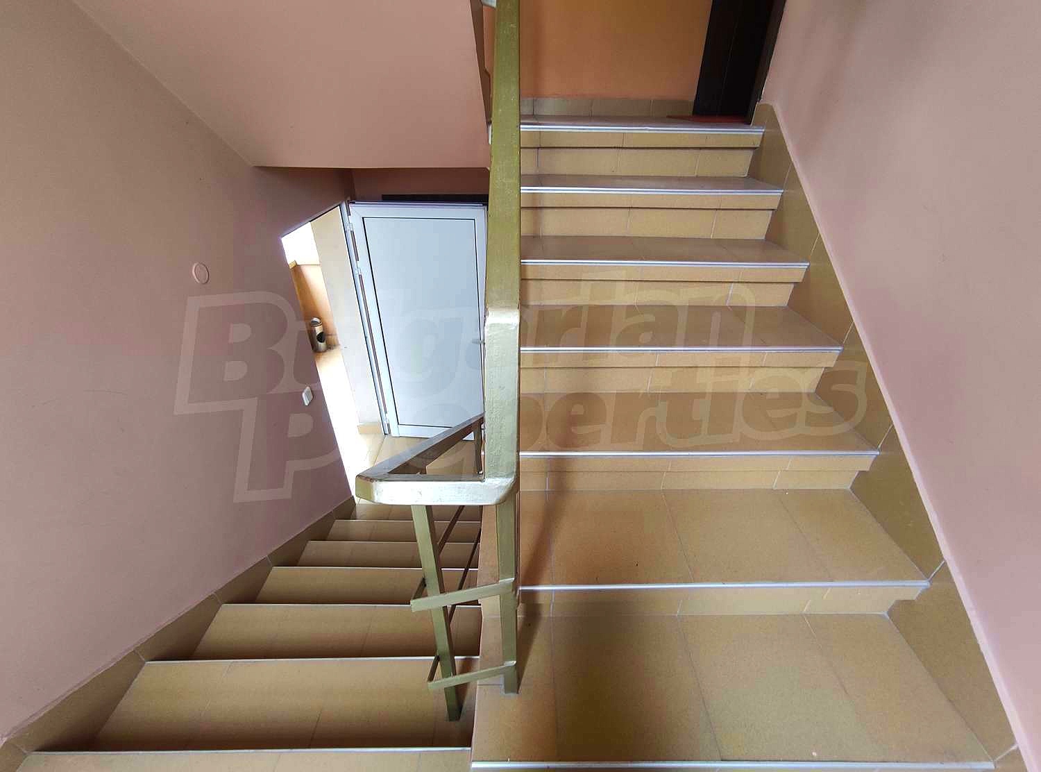 Gallery Picture 38