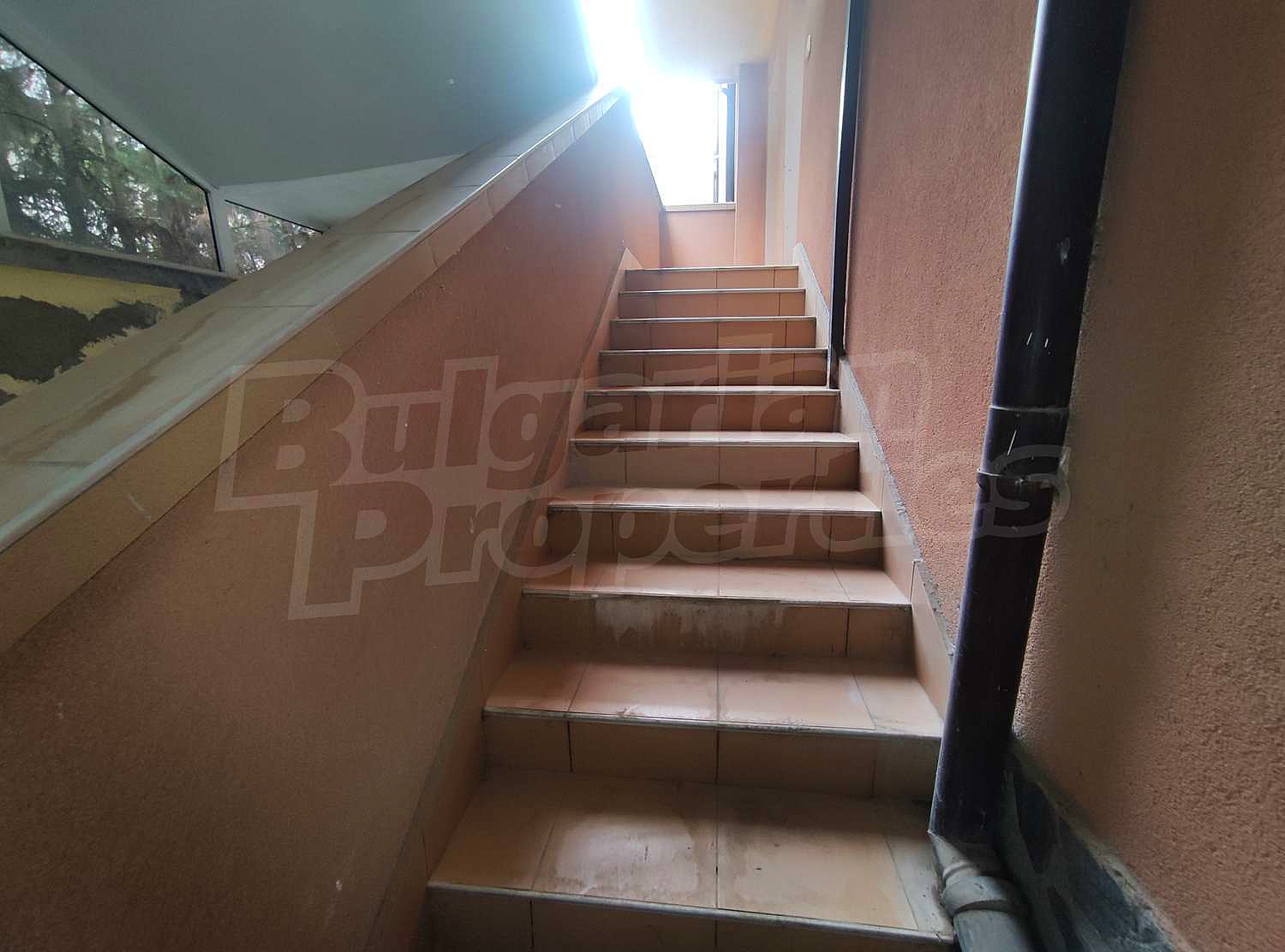 Gallery Picture 45