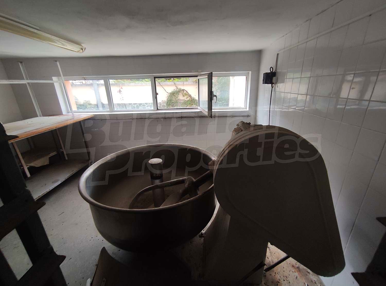 Gallery Picture 46