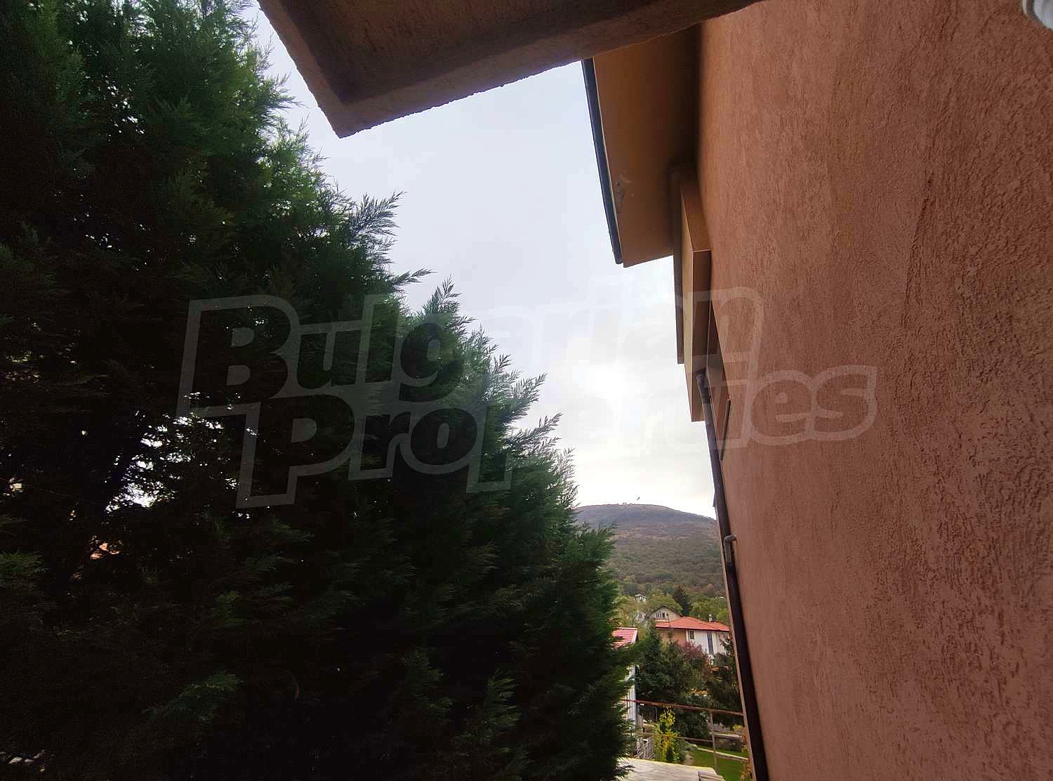 Gallery Picture 58