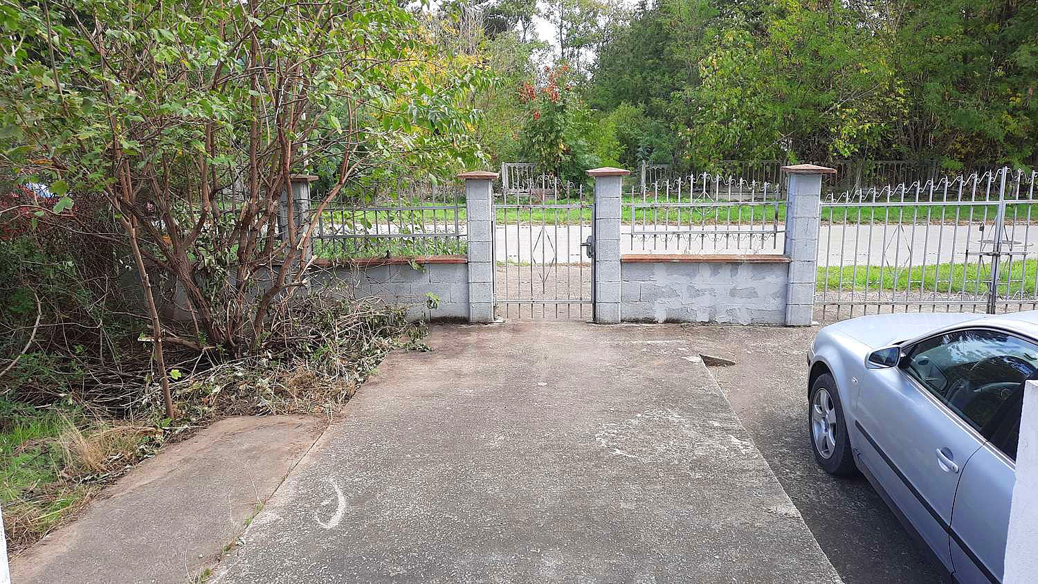 Gallery Picture 38