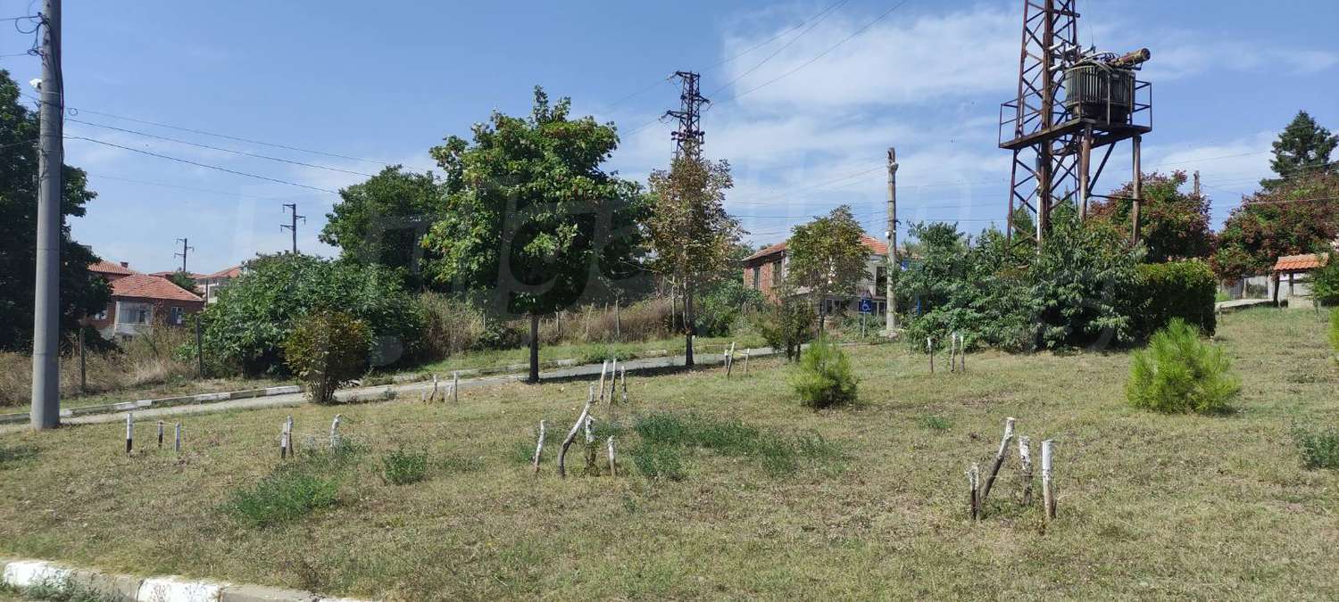 Gallery Picture 6