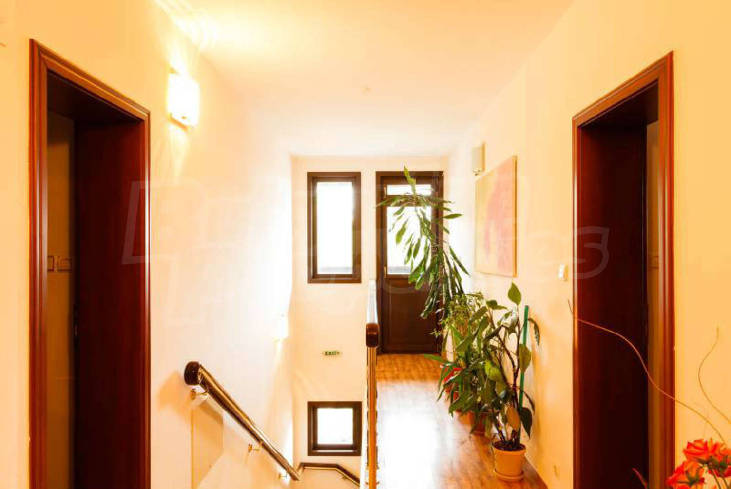 Gallery Picture 14