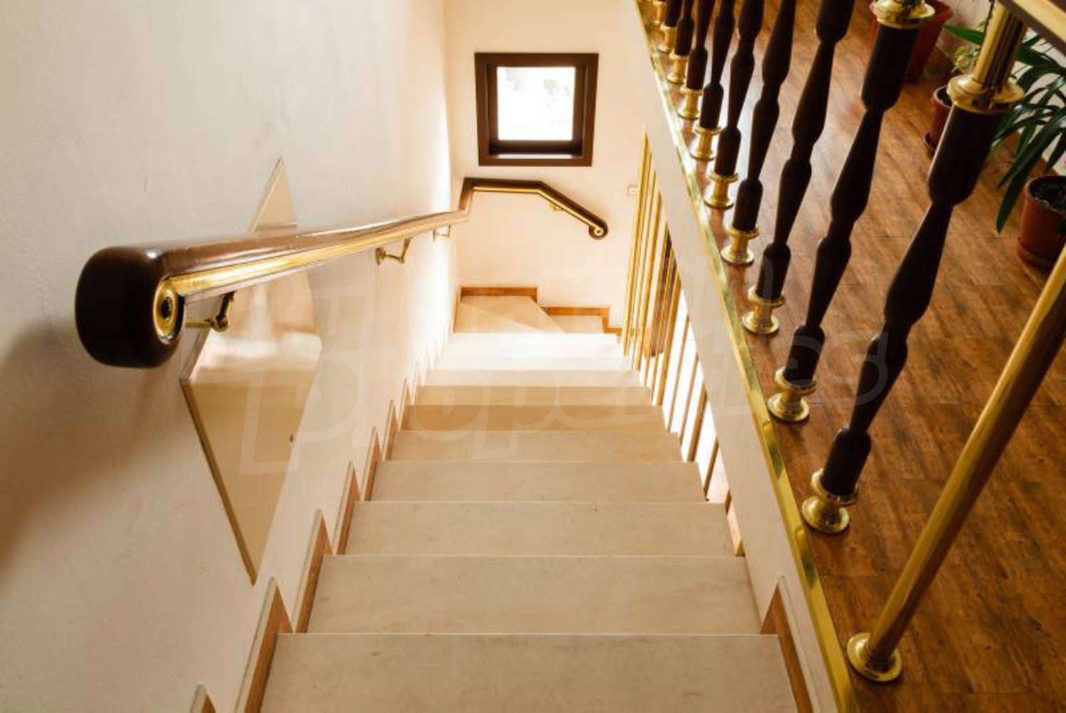 Gallery Picture 15
