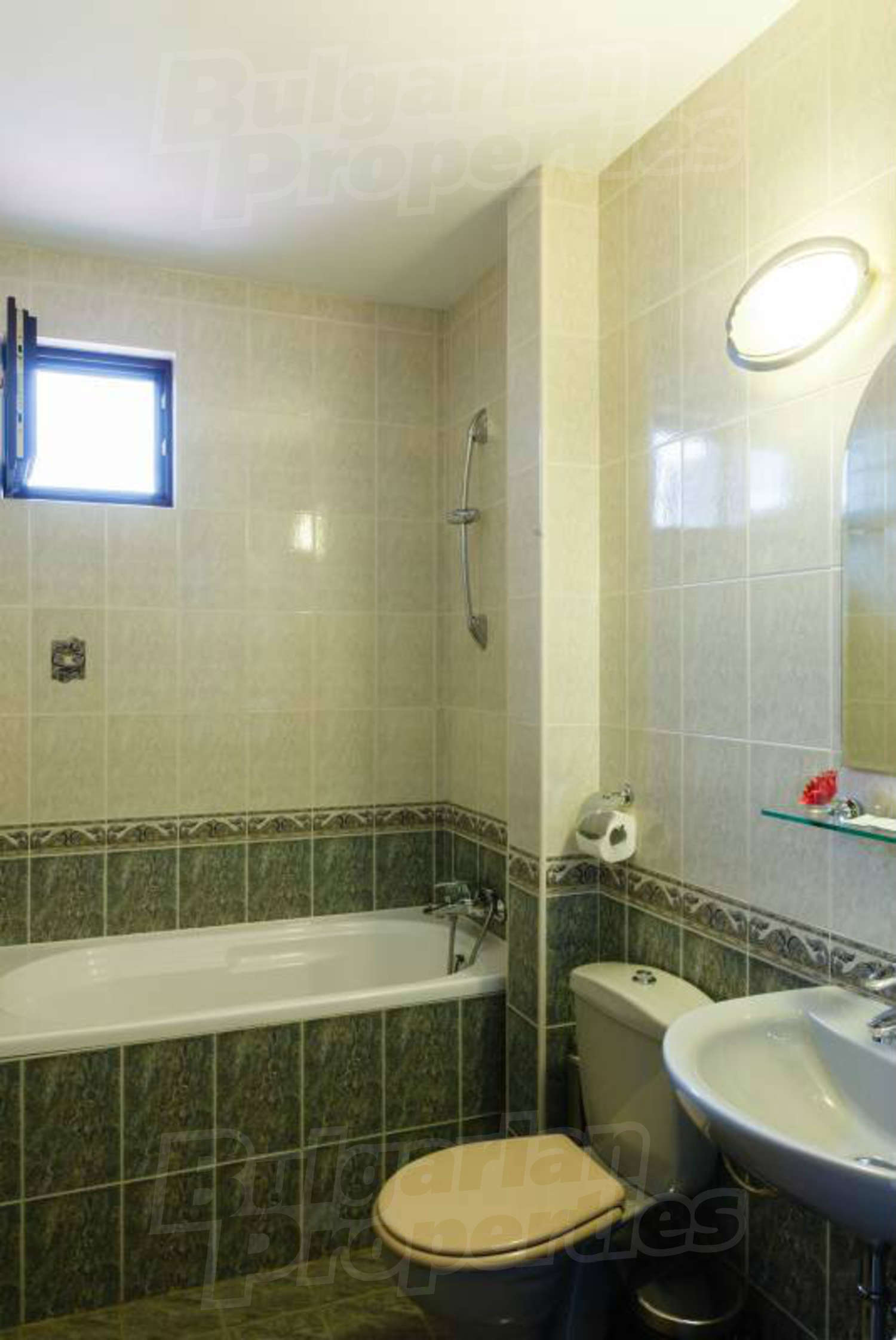 Gallery Picture 27