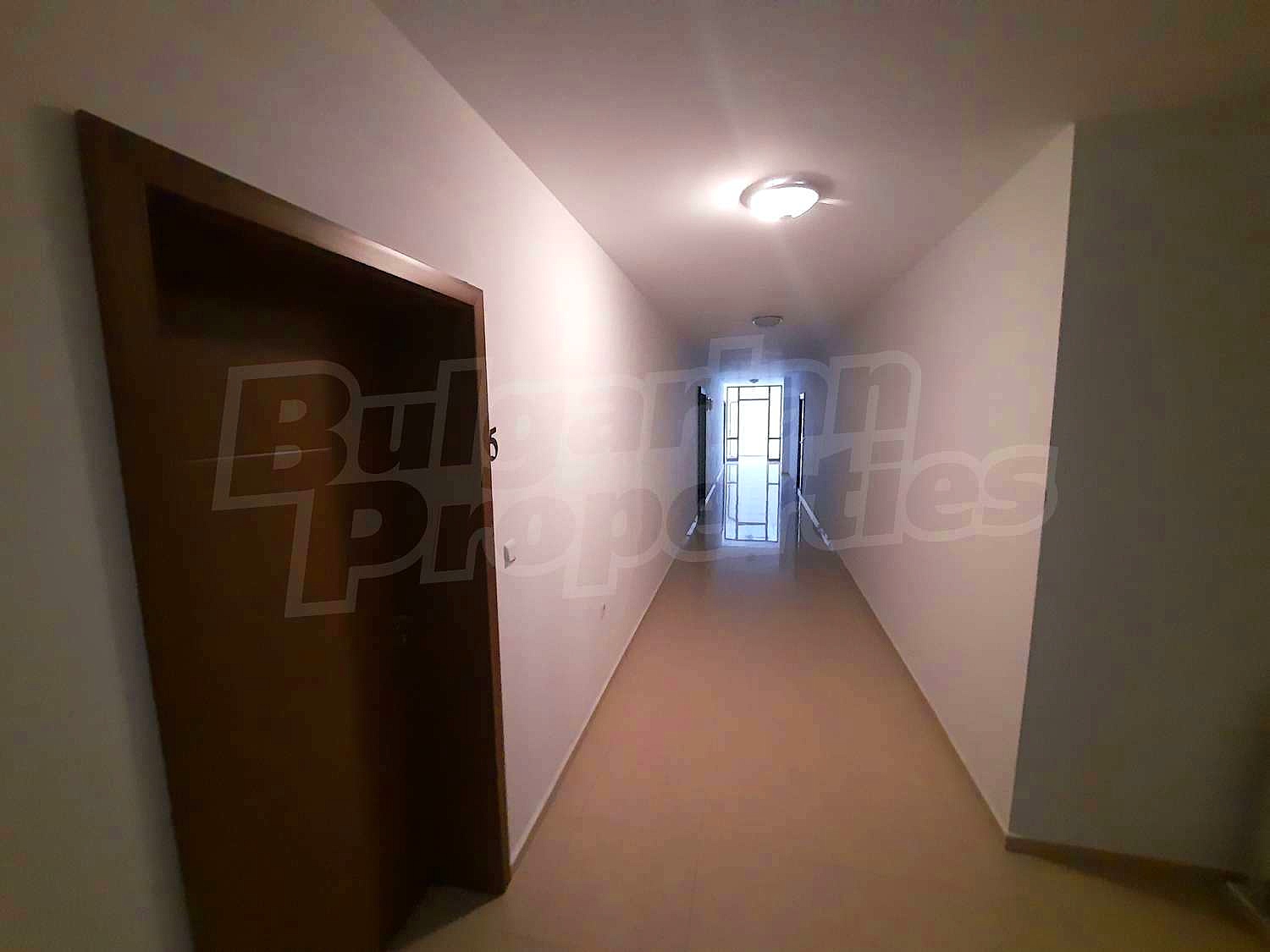 Gallery Picture 19