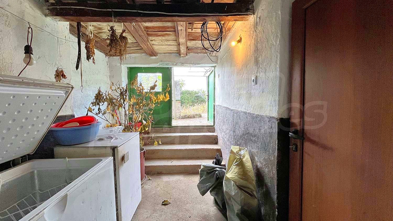 Gallery Picture 19