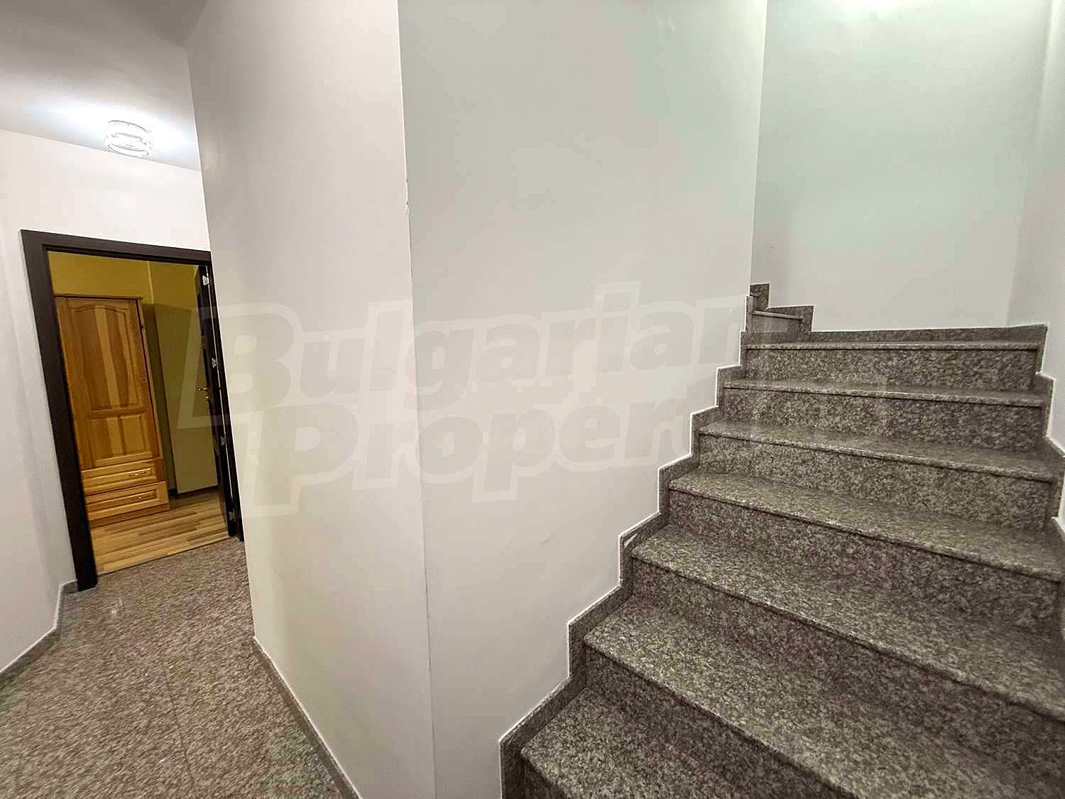 Gallery Picture 118