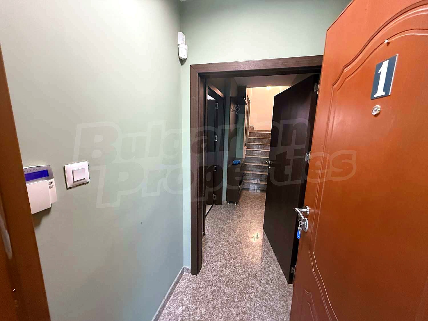 Gallery Picture 52