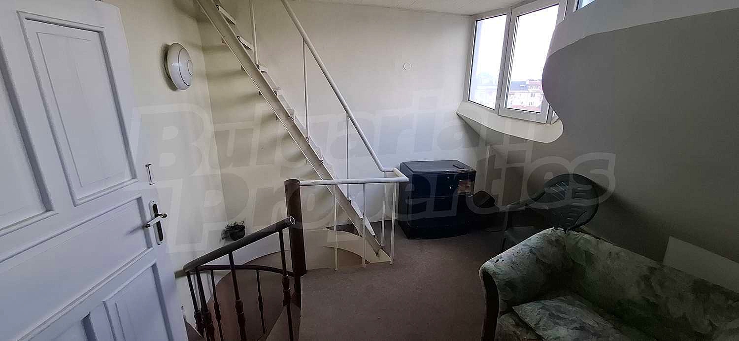 Gallery Picture 14