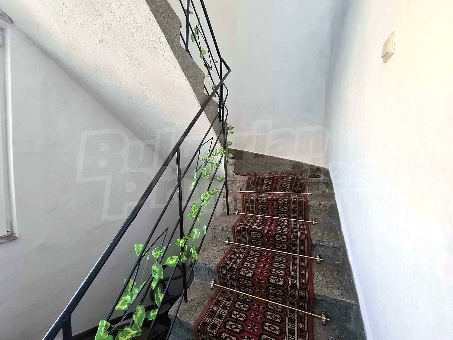 Gallery Picture 24