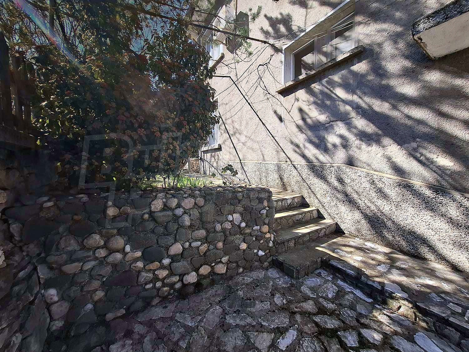 Gallery Picture 38