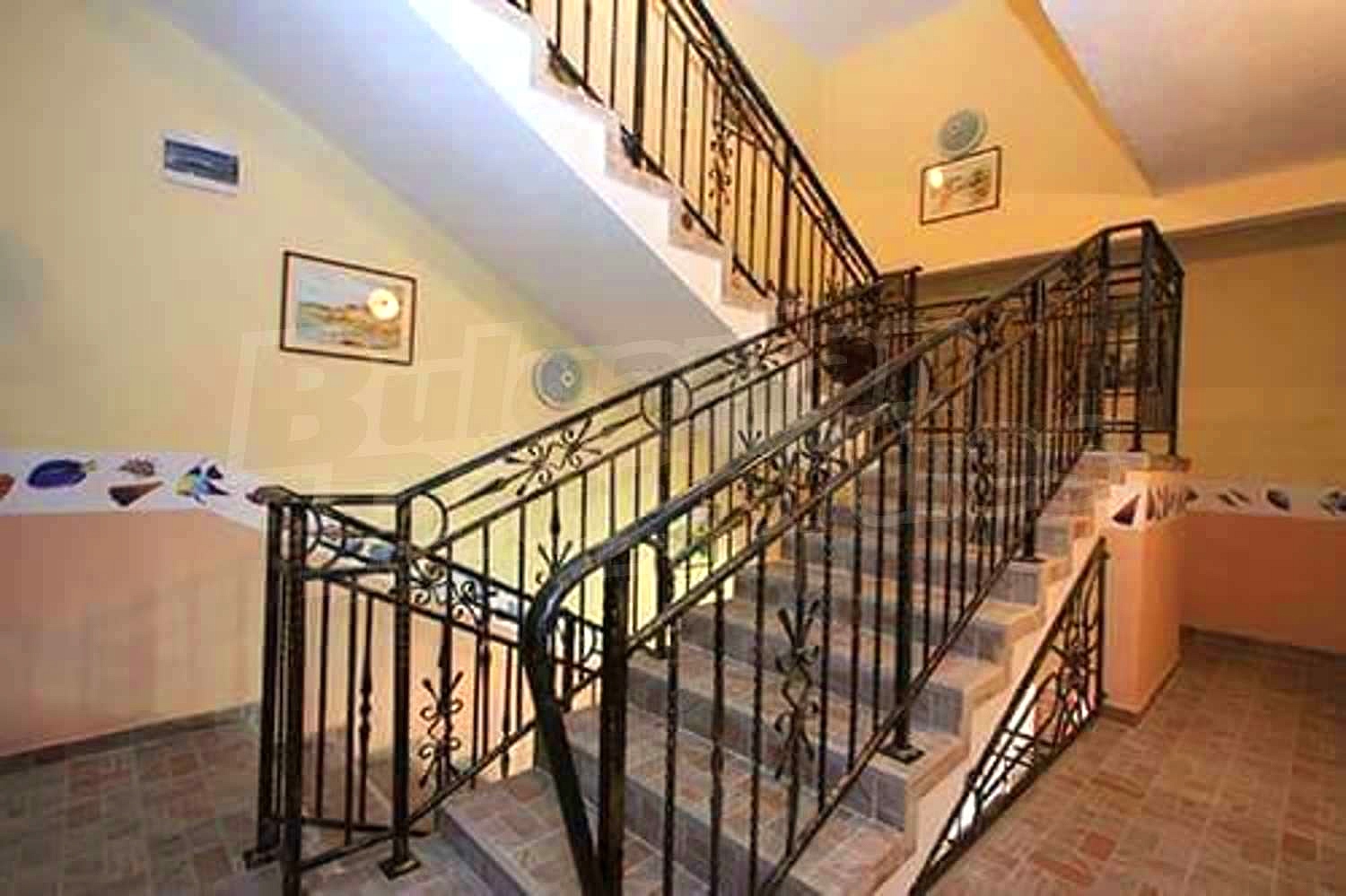 Gallery Picture 12