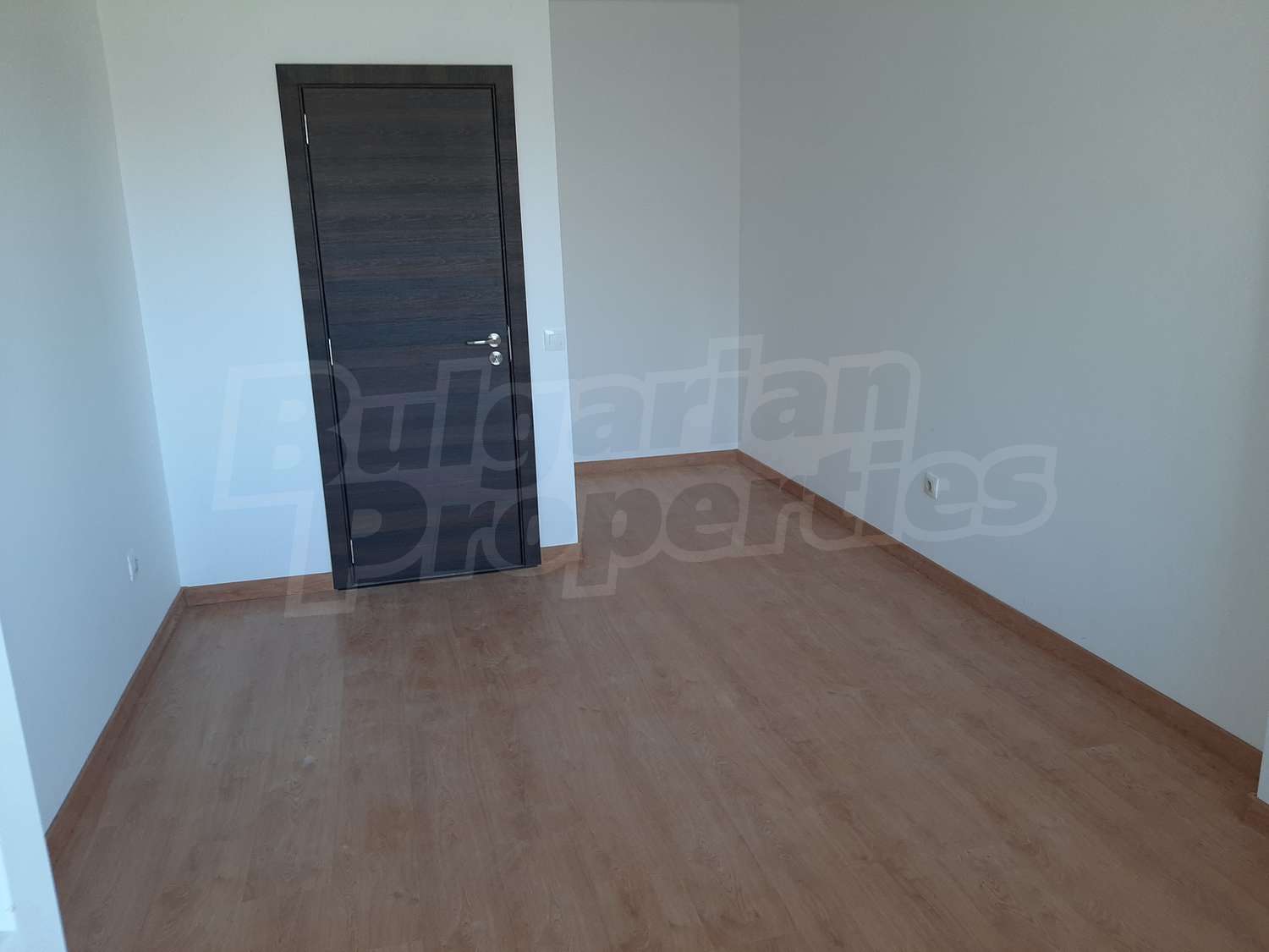 Gallery Picture 14