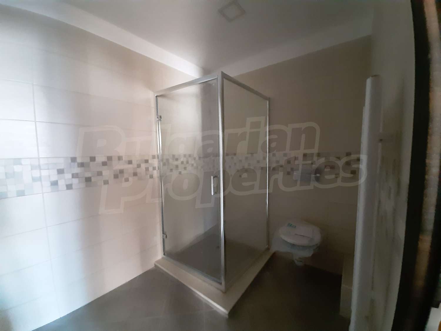Gallery Picture 19