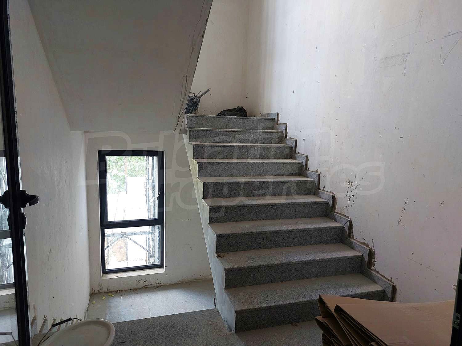 Gallery Picture 12