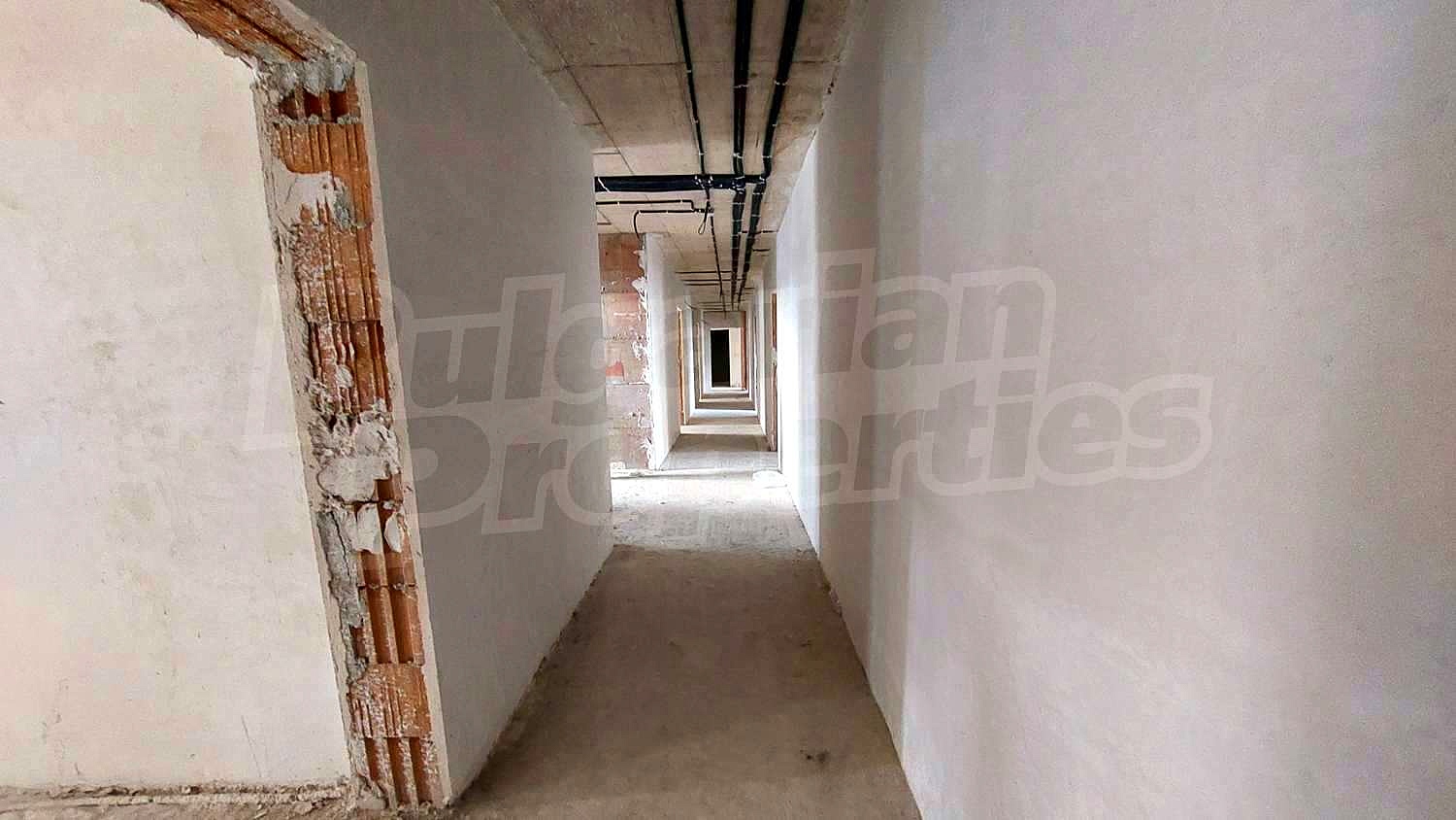Gallery Picture 38