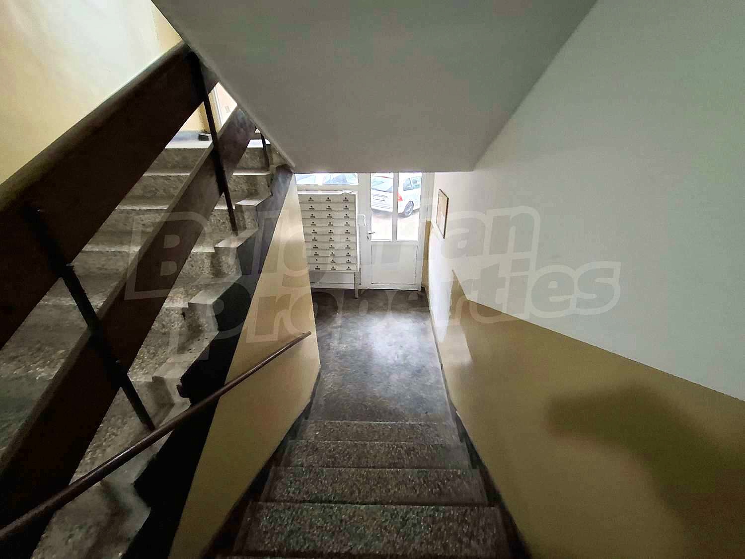 Gallery Picture 26