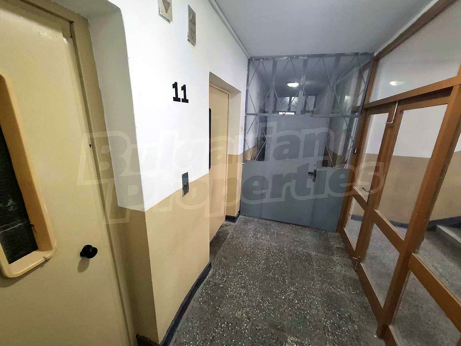 Gallery Picture 6