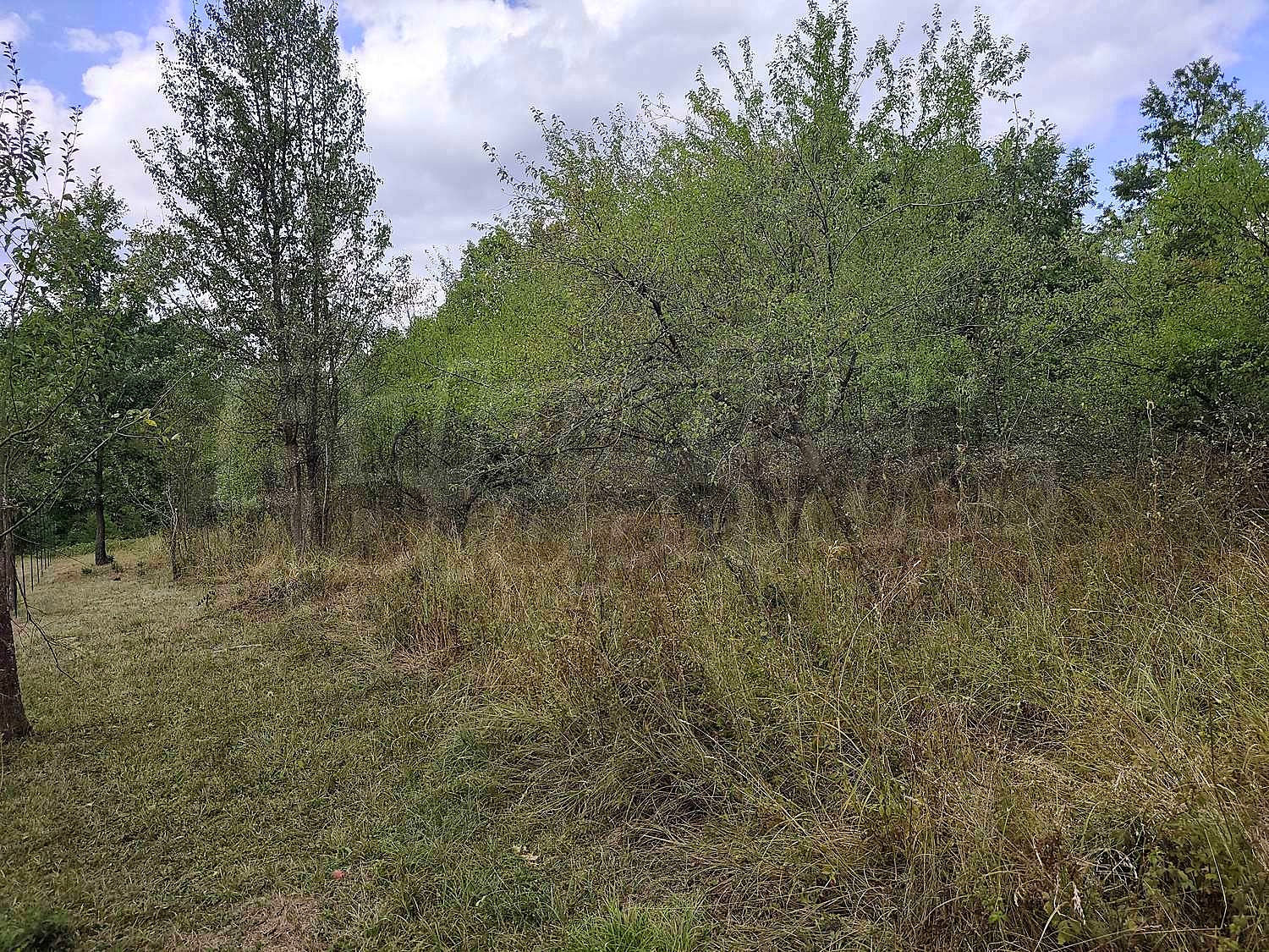 Gallery Picture 19