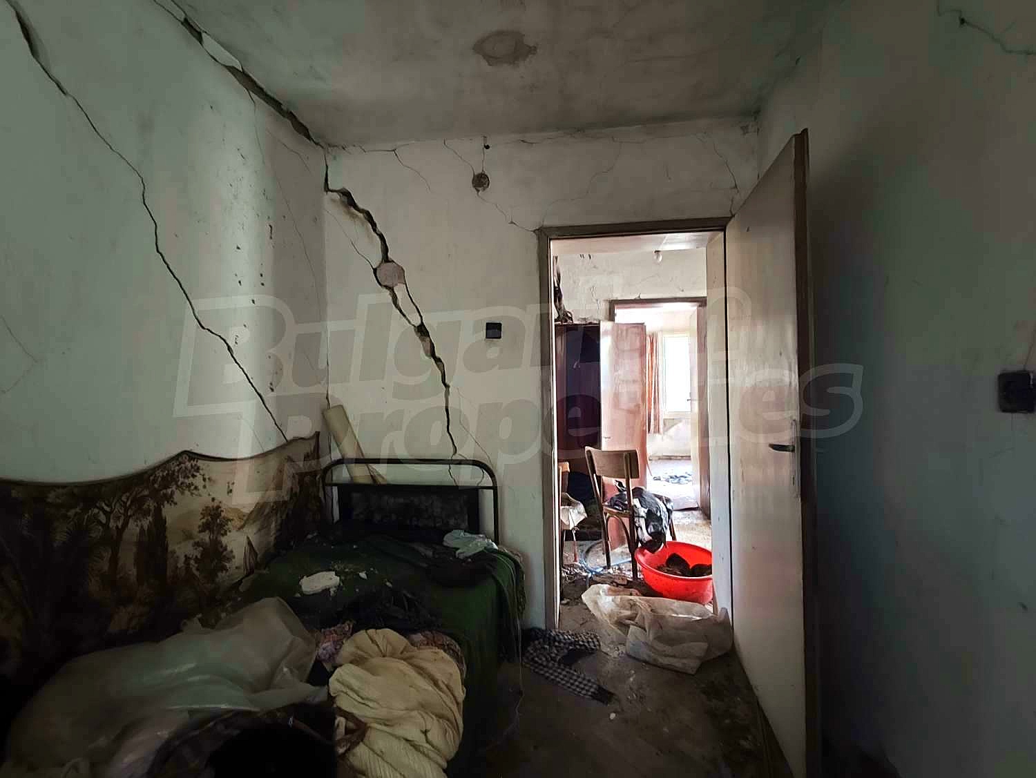Gallery Picture 15