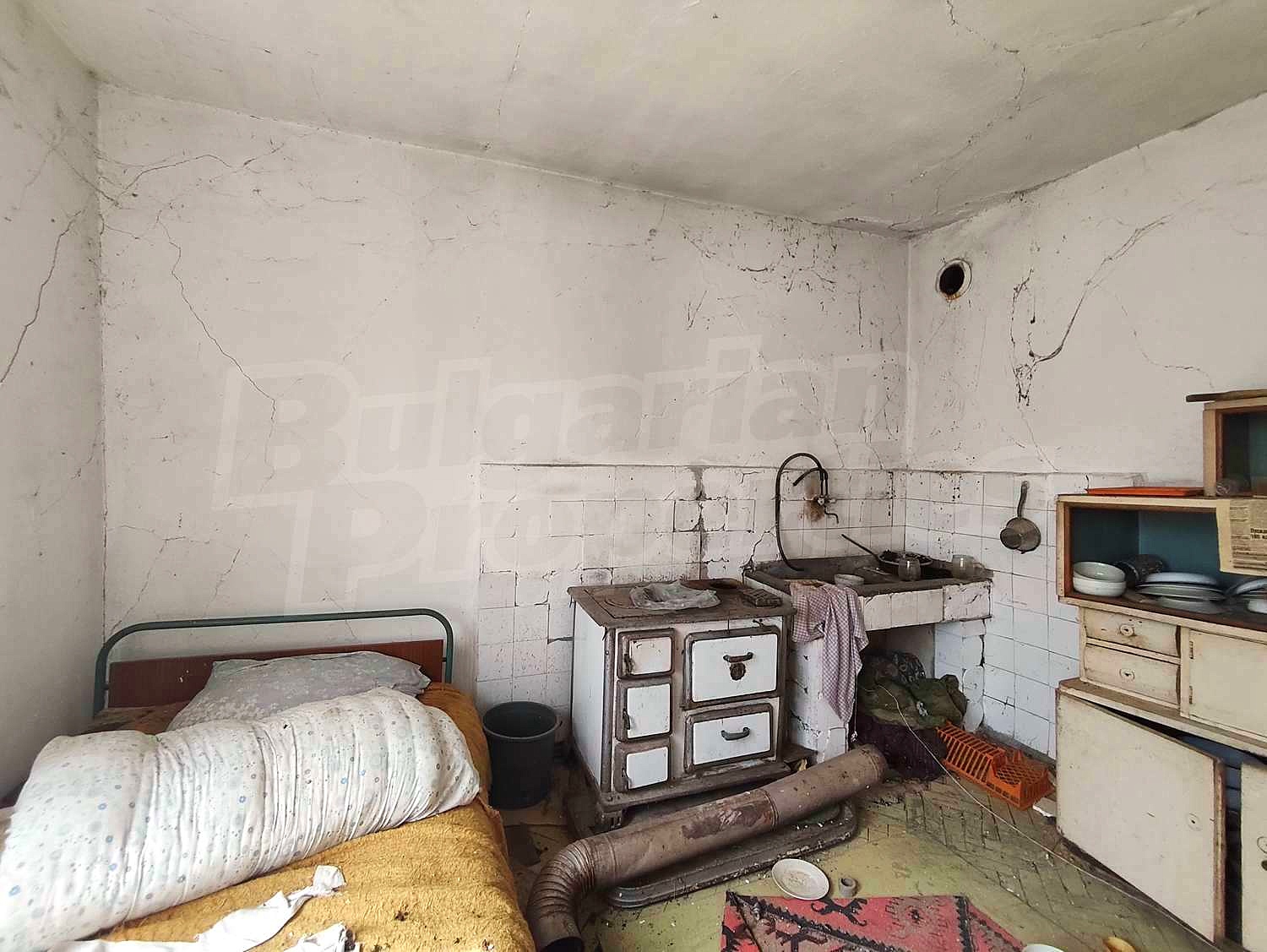 Gallery Picture 18