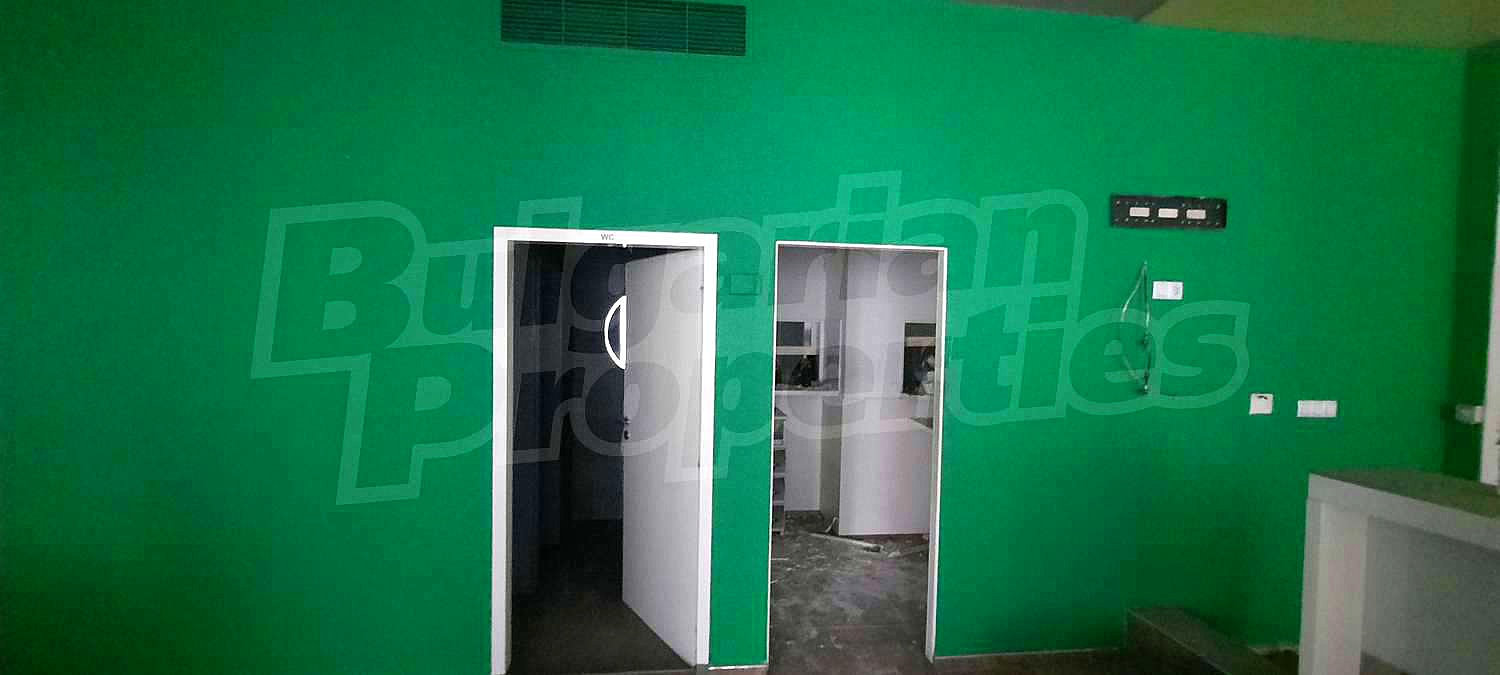 Gallery Picture 9